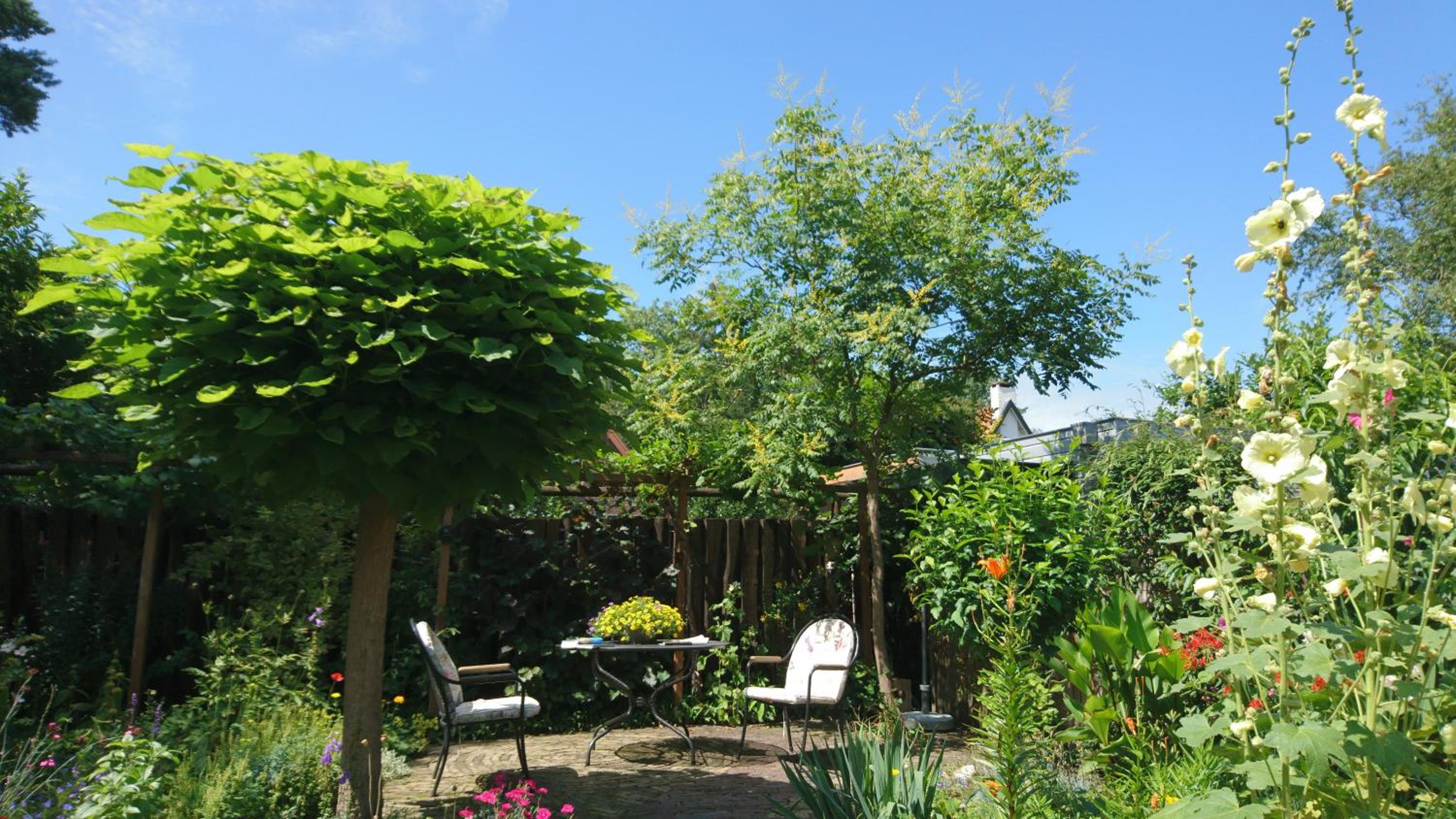 Overbosch - Property Image 11