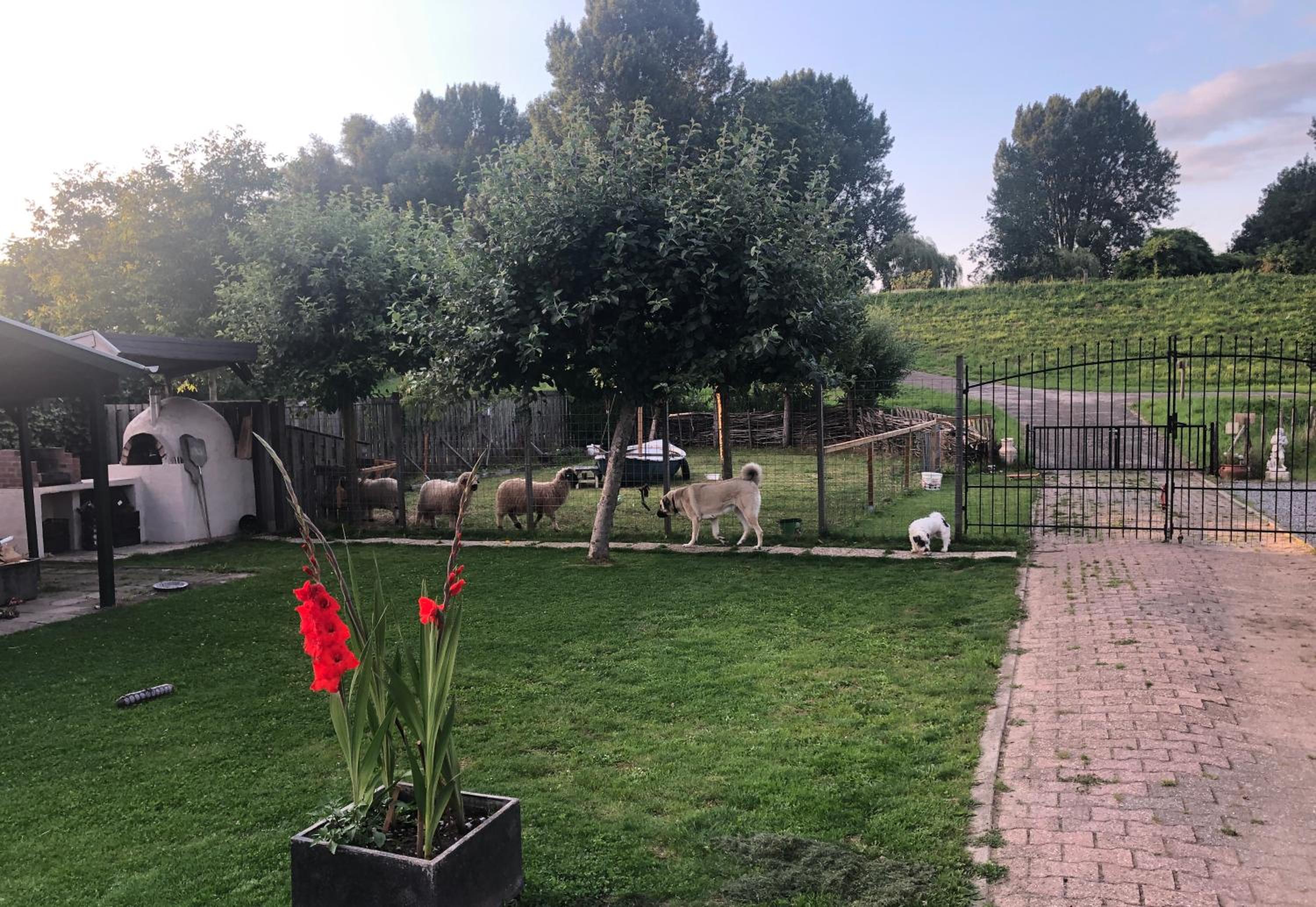 Photo 21