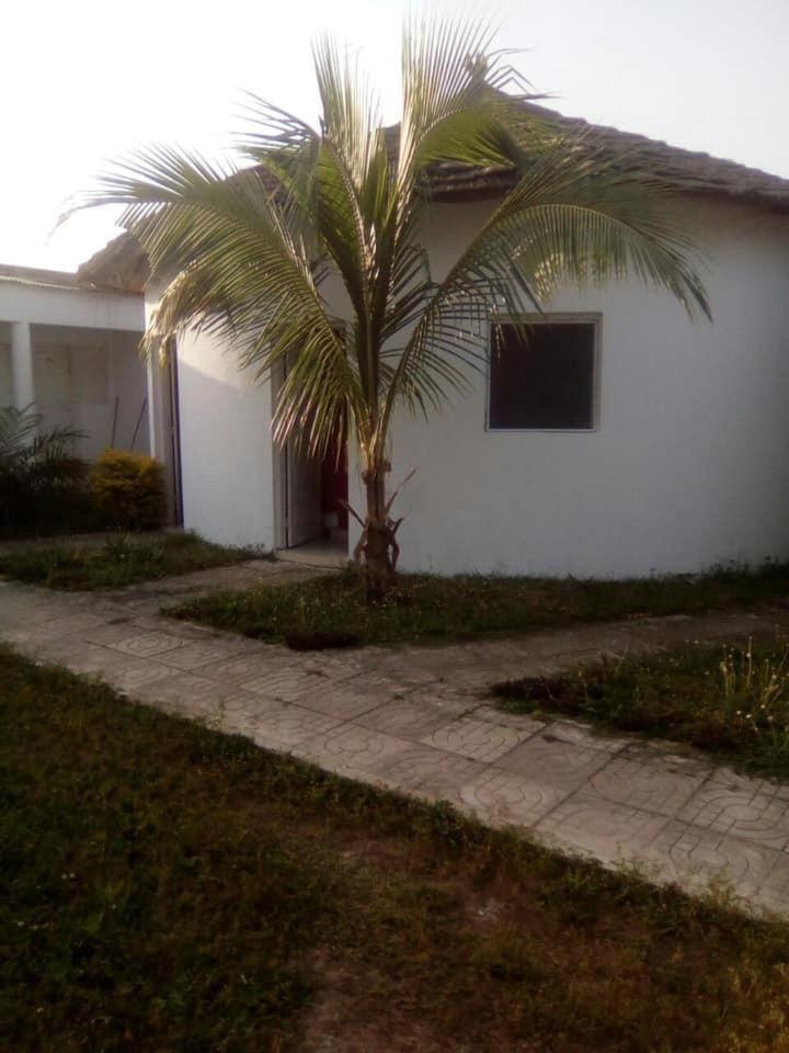 Photo 40