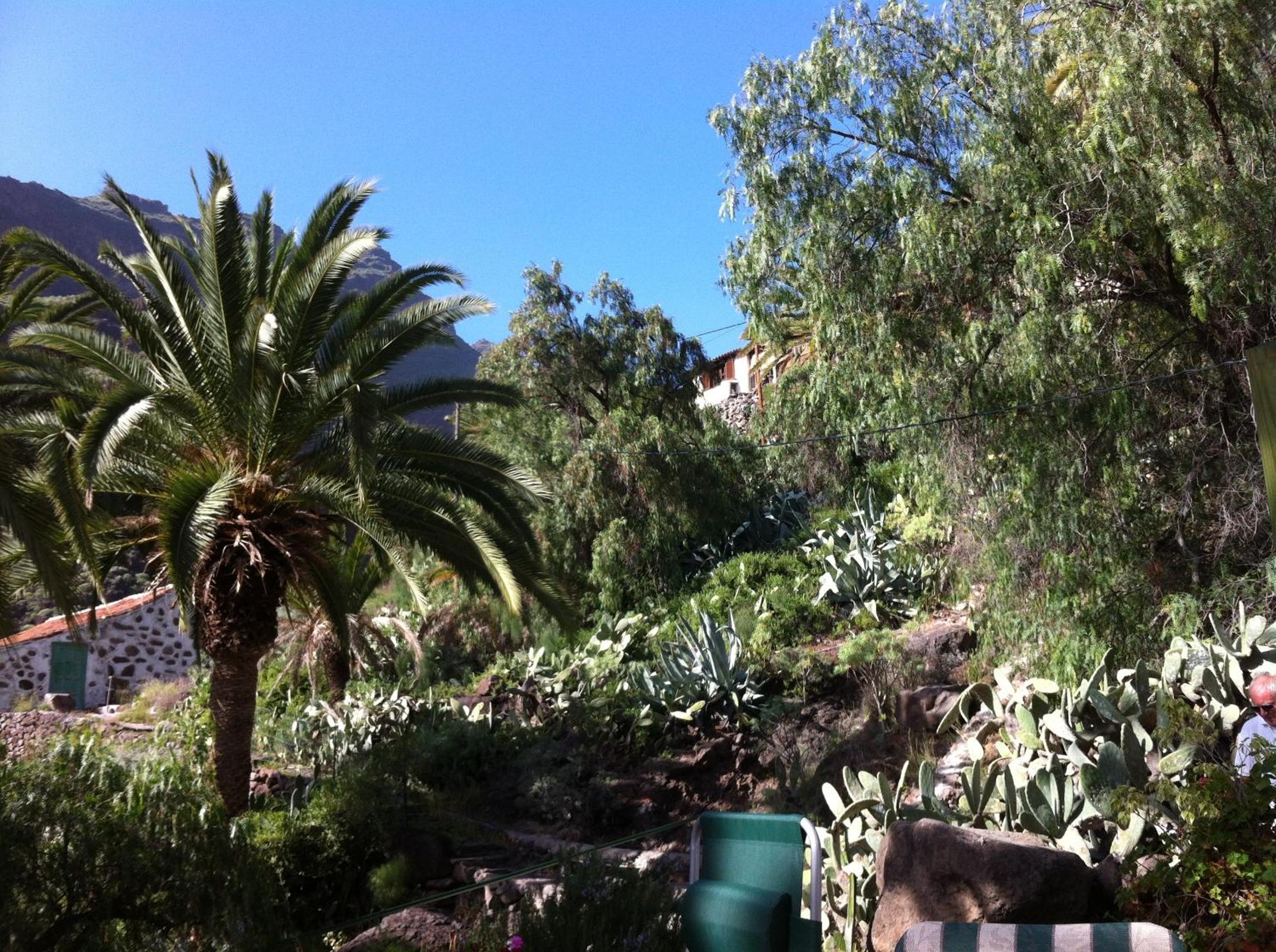 Apartamentos Bellavista Gomera view 3