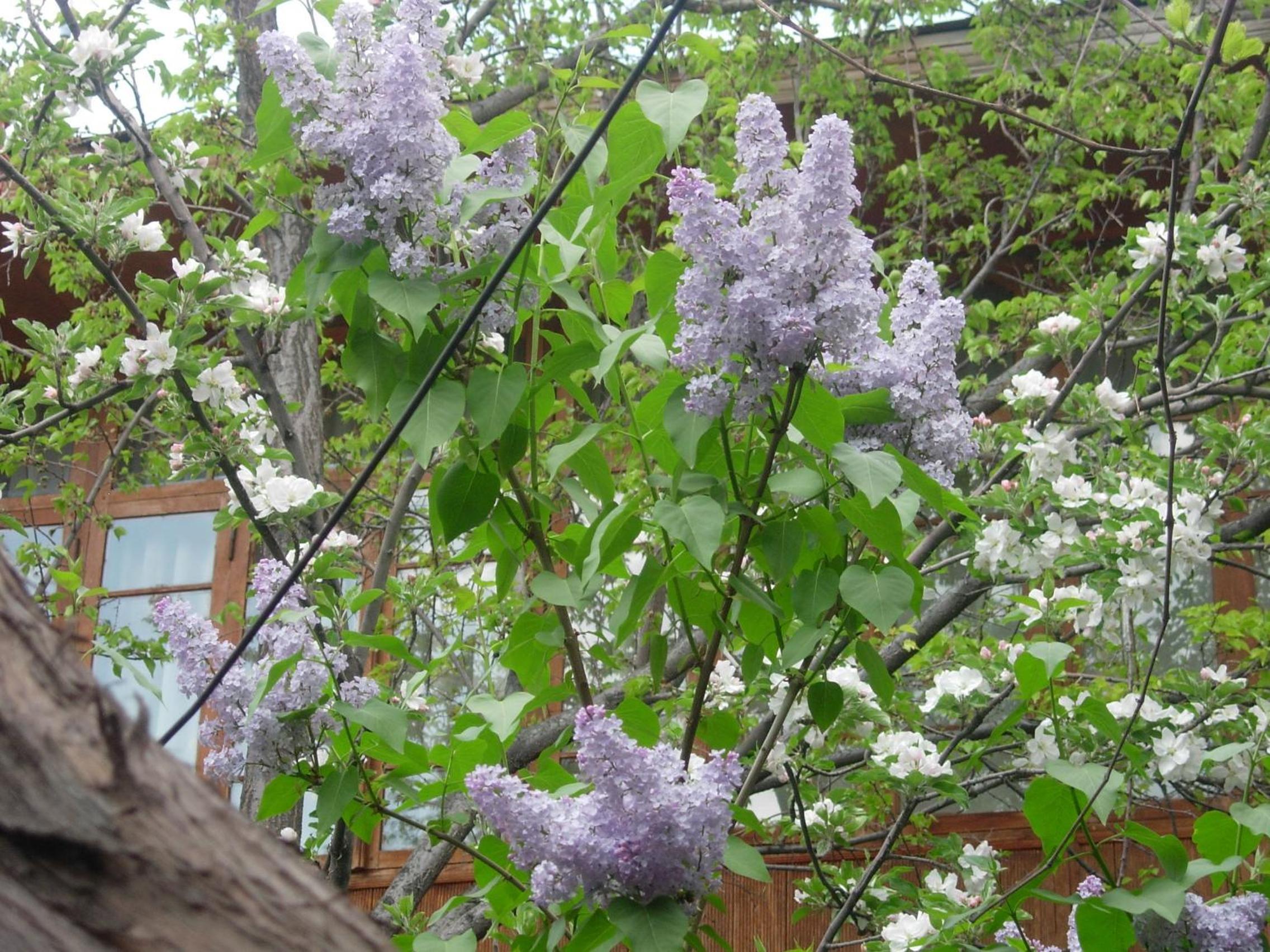 Photo 25