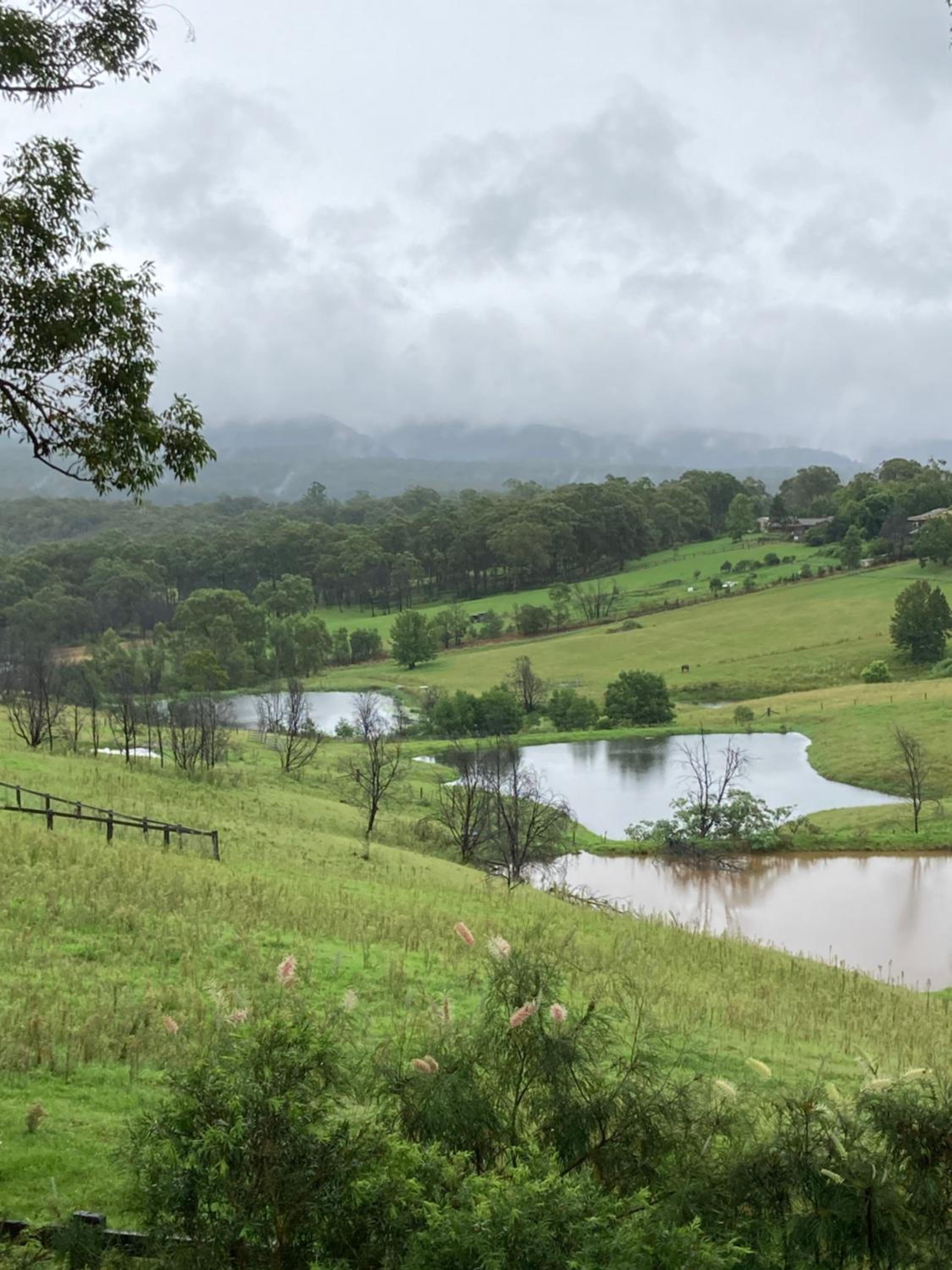 Tiny Home … BIG Views