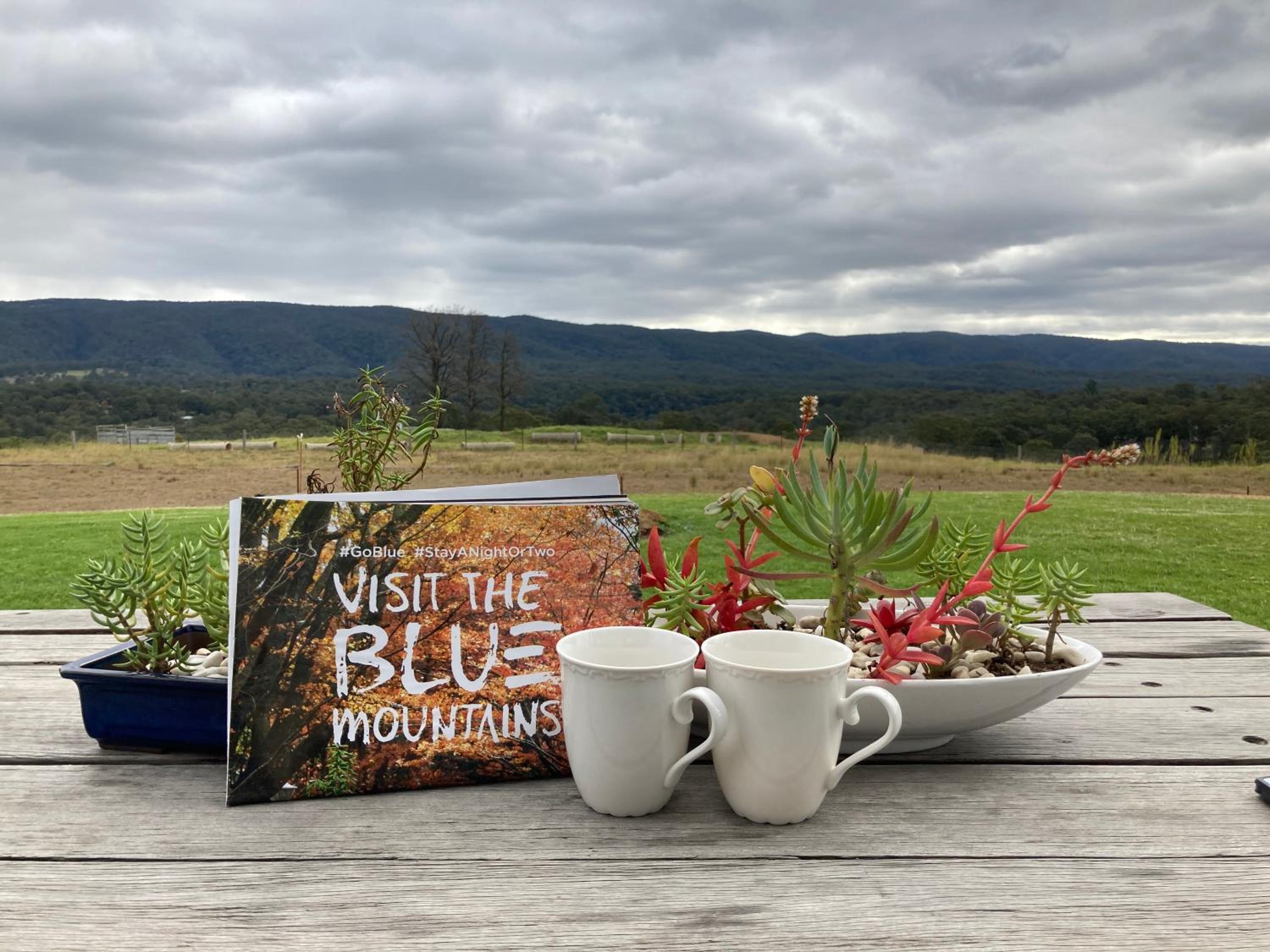 Tiny Home … BIG Views
