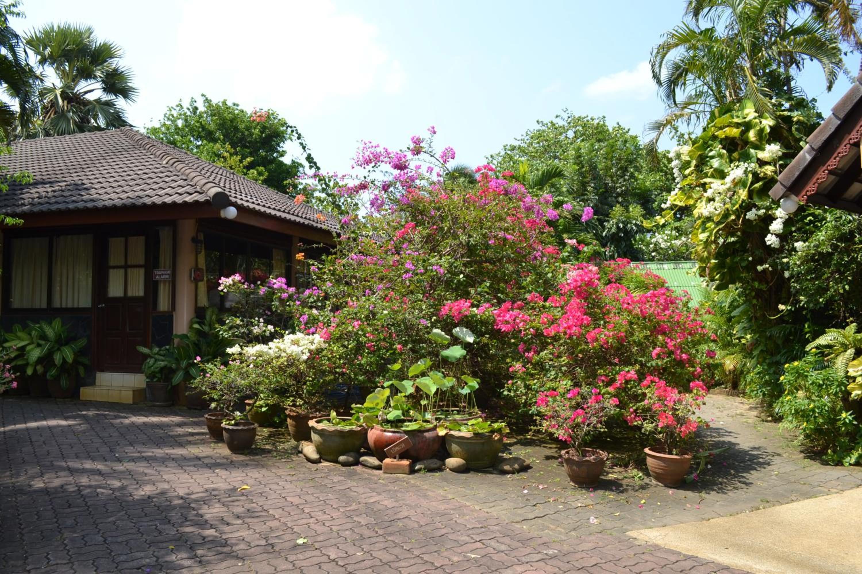 Phuket Golden Sand Inn - SHA Extra Plus view 5