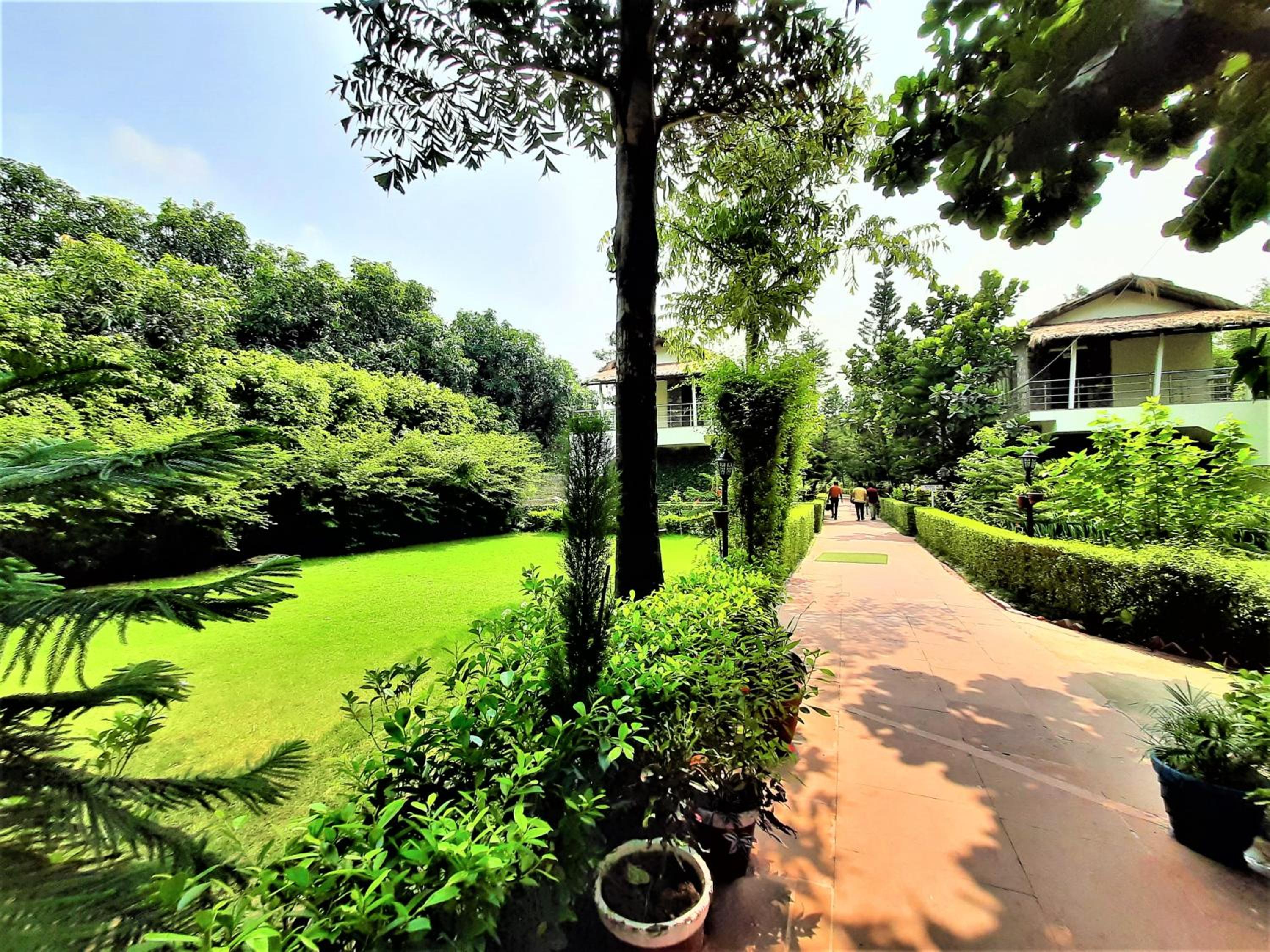 Wood castle Spa & Resort