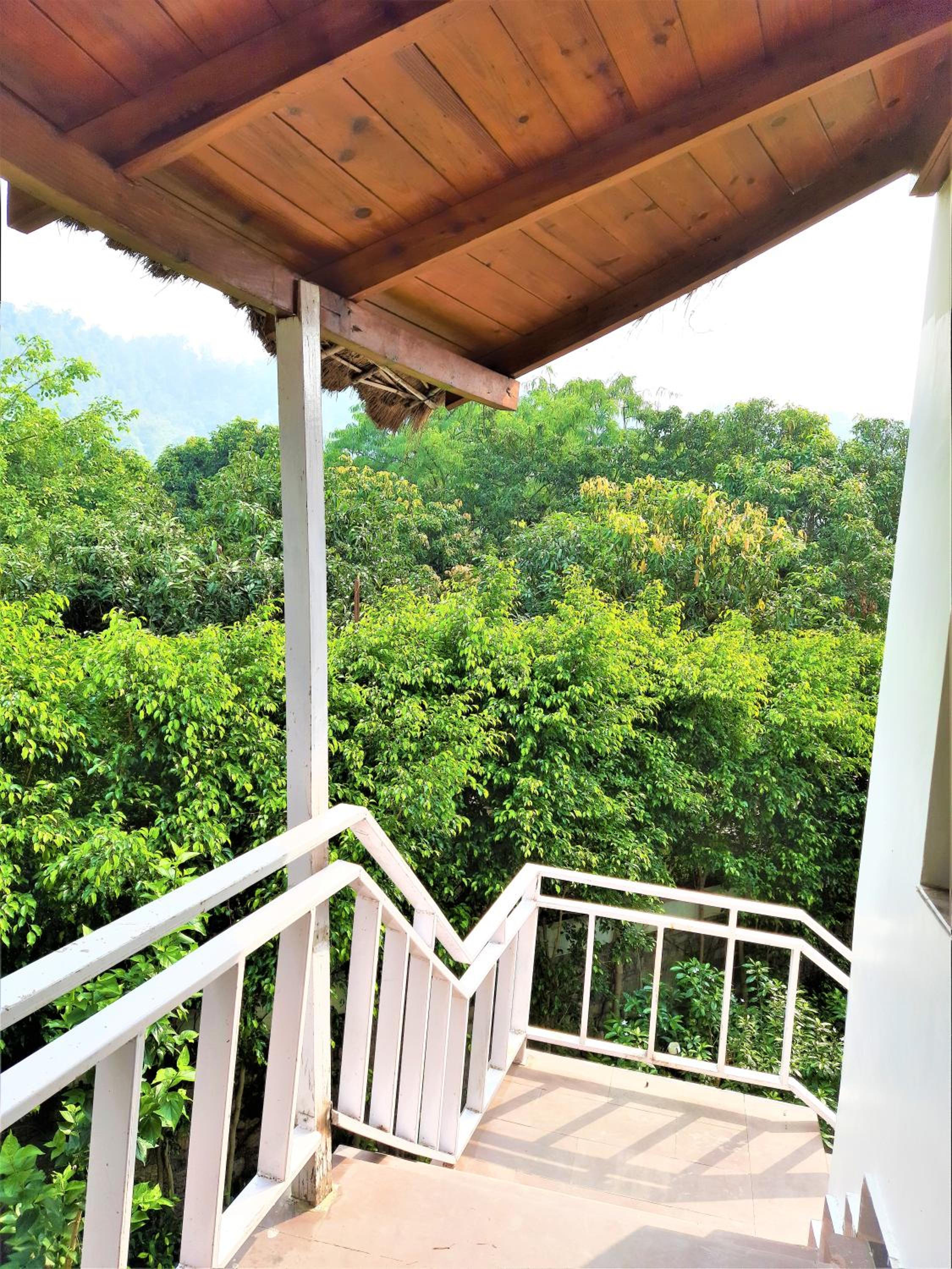 Wood castle Spa & Resort