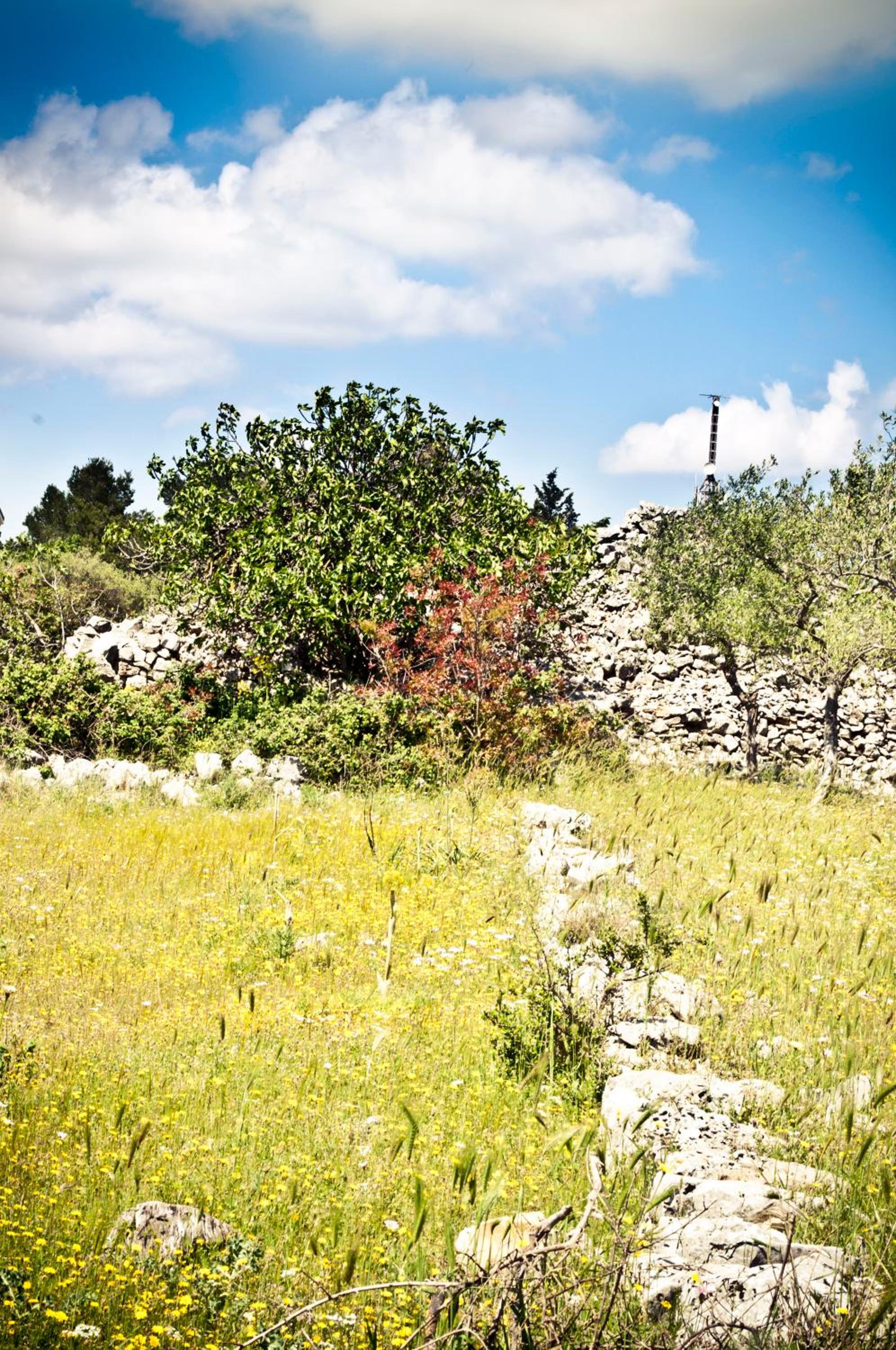 B&b Parco Alta Murgia photo 4