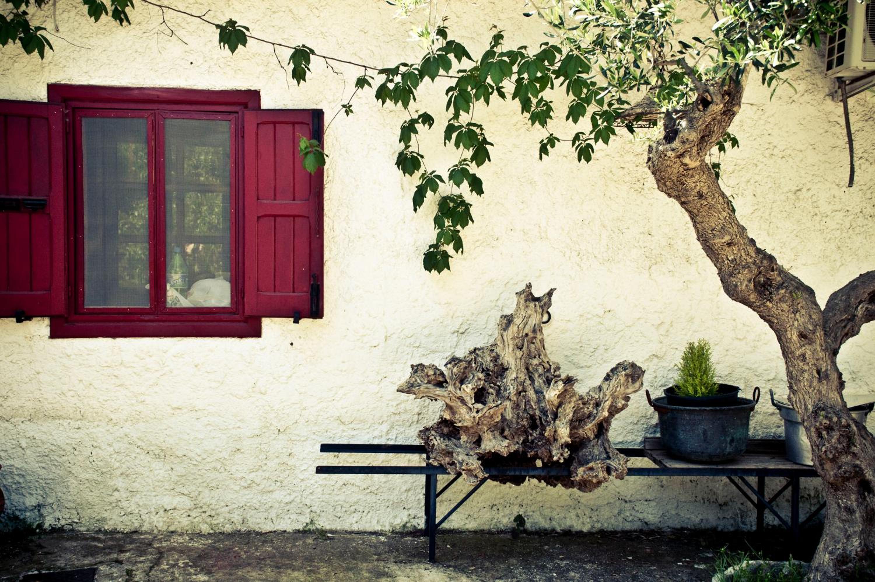 B&b Parco Alta Murgia photo 2