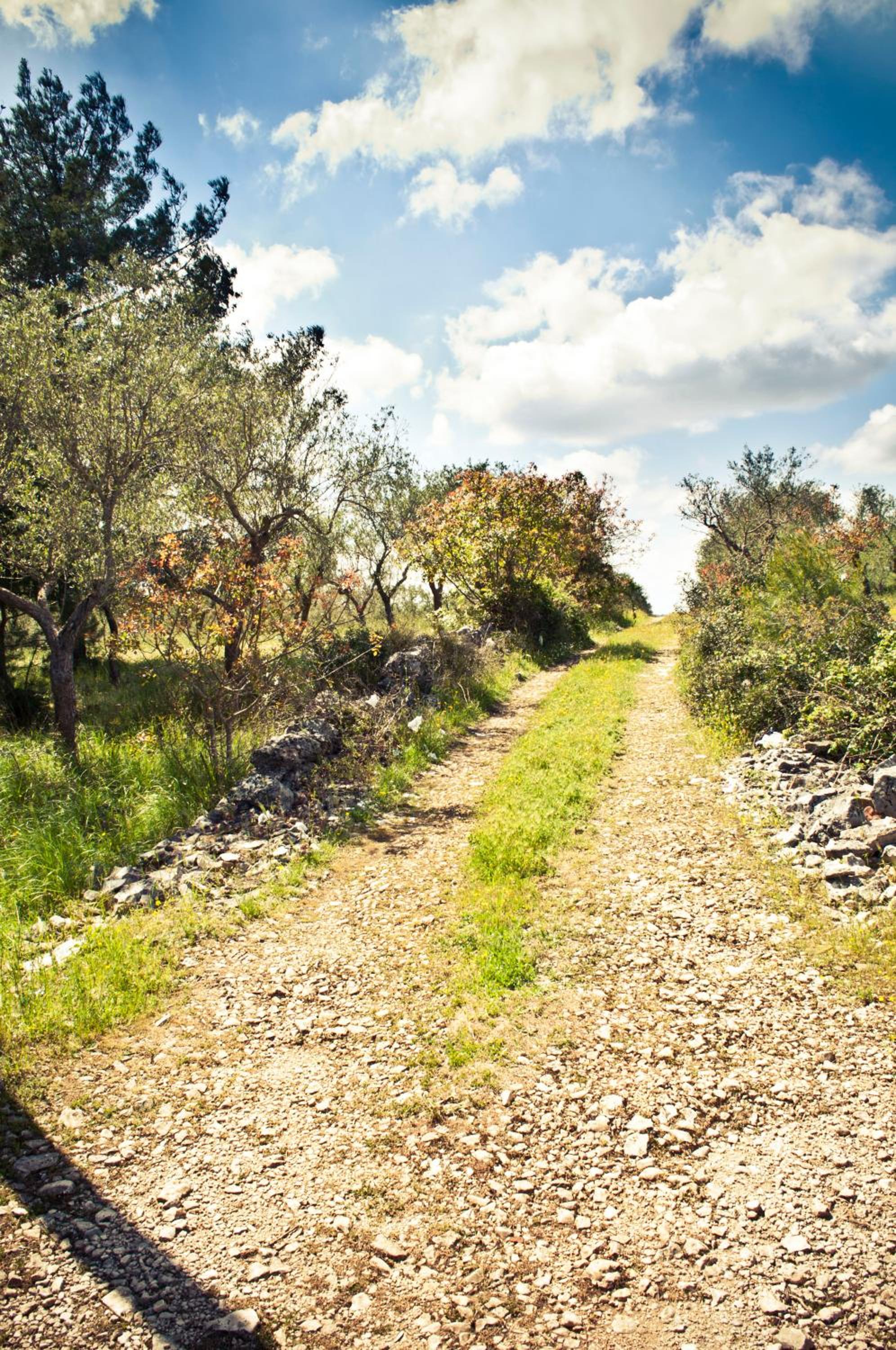 B&b Parco Alta Murgia photo 5