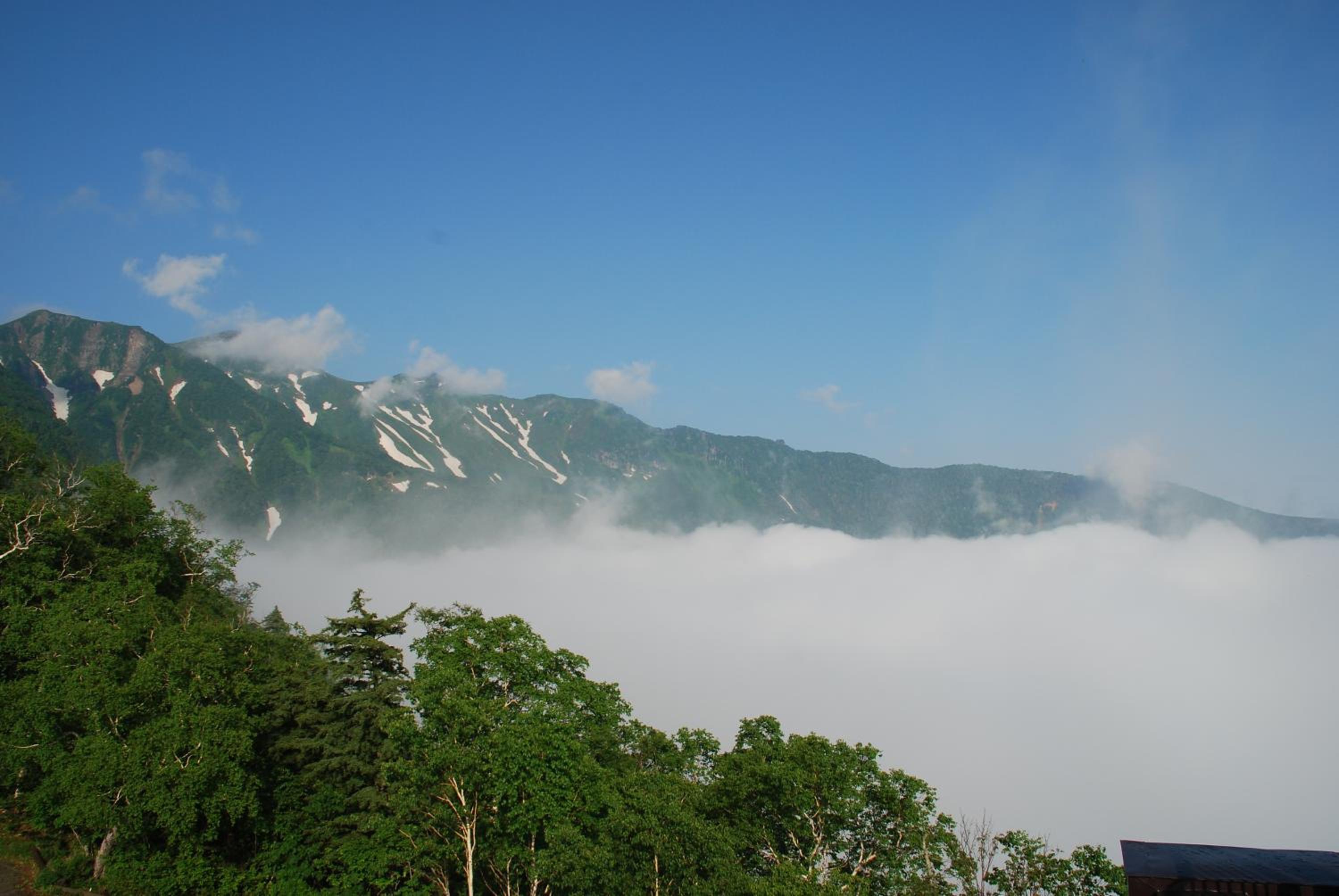 Photo 45