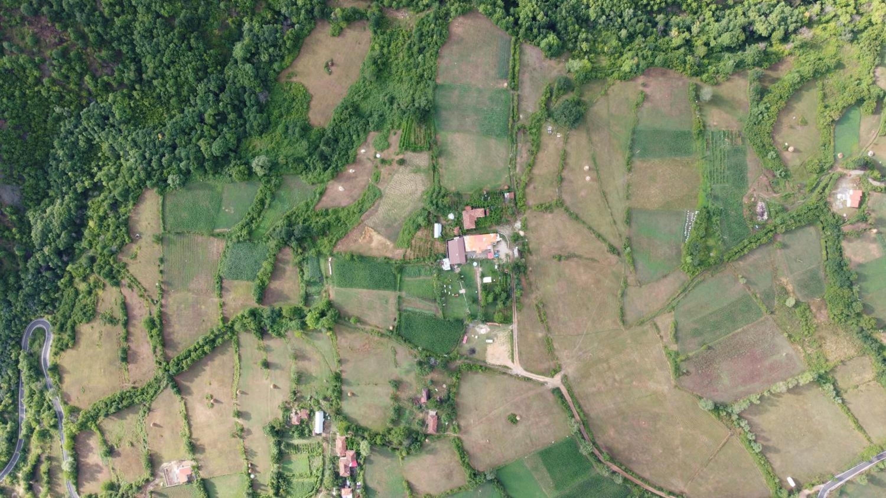VILA DISHA