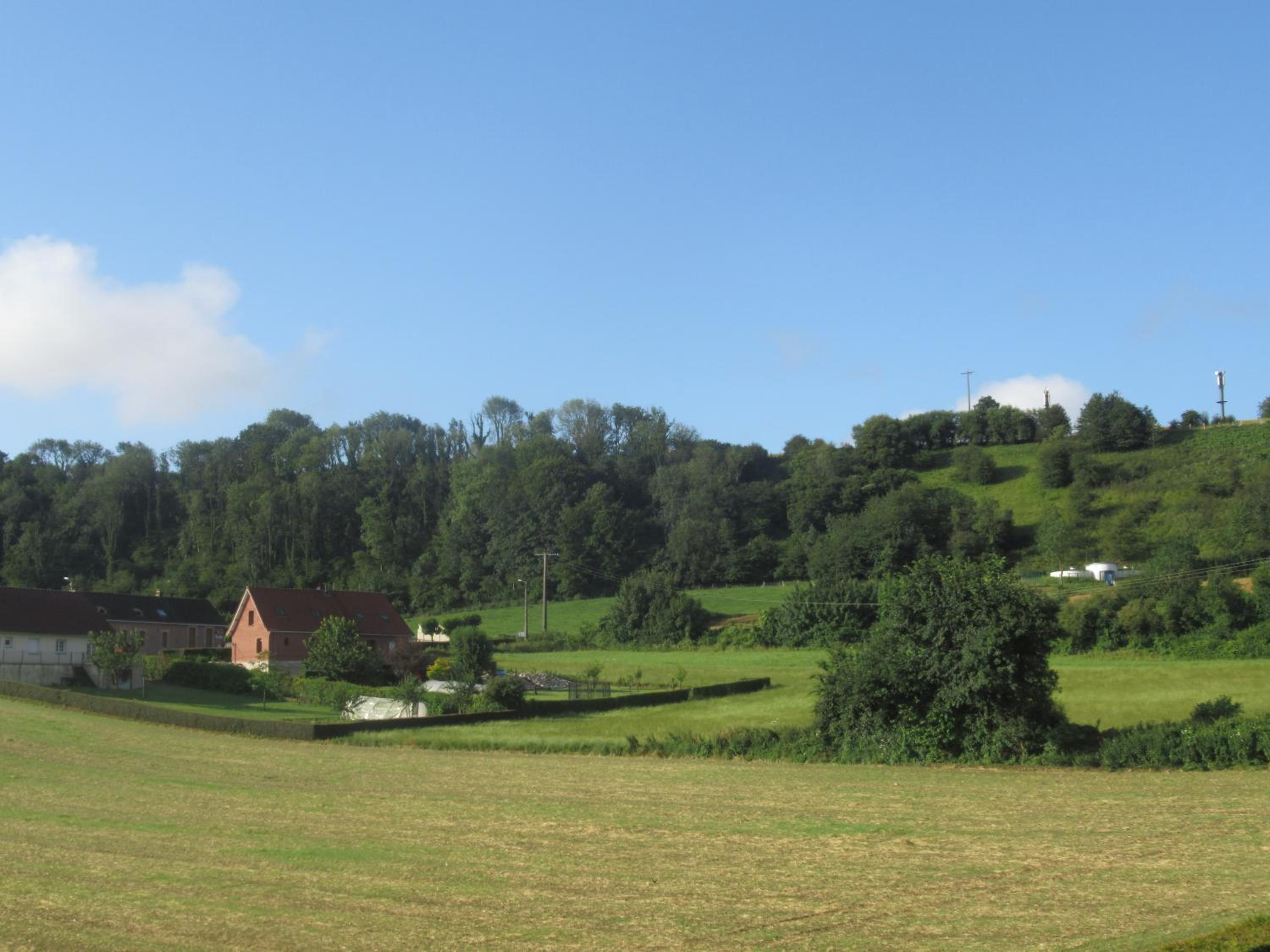 Photo 21