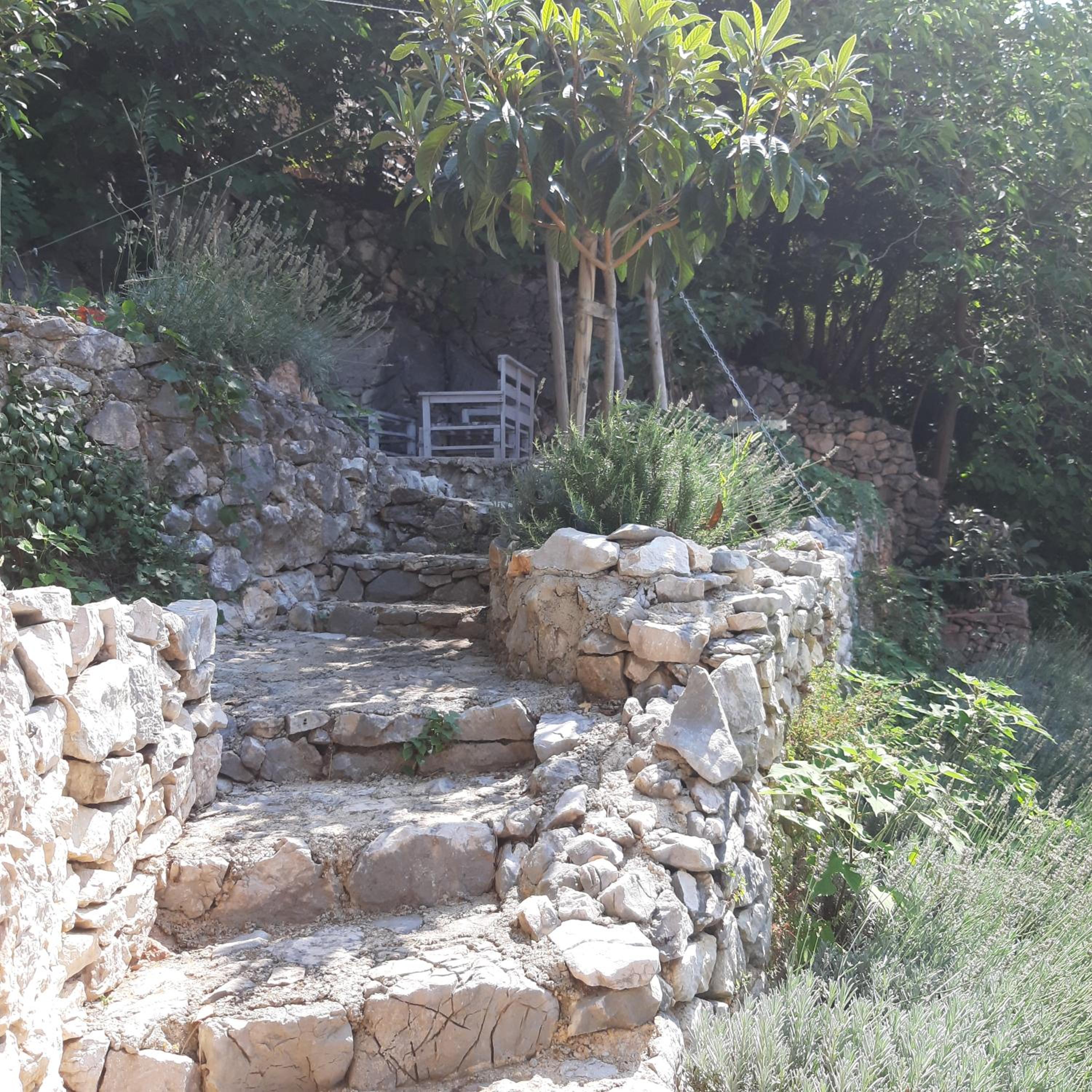 Photo 30