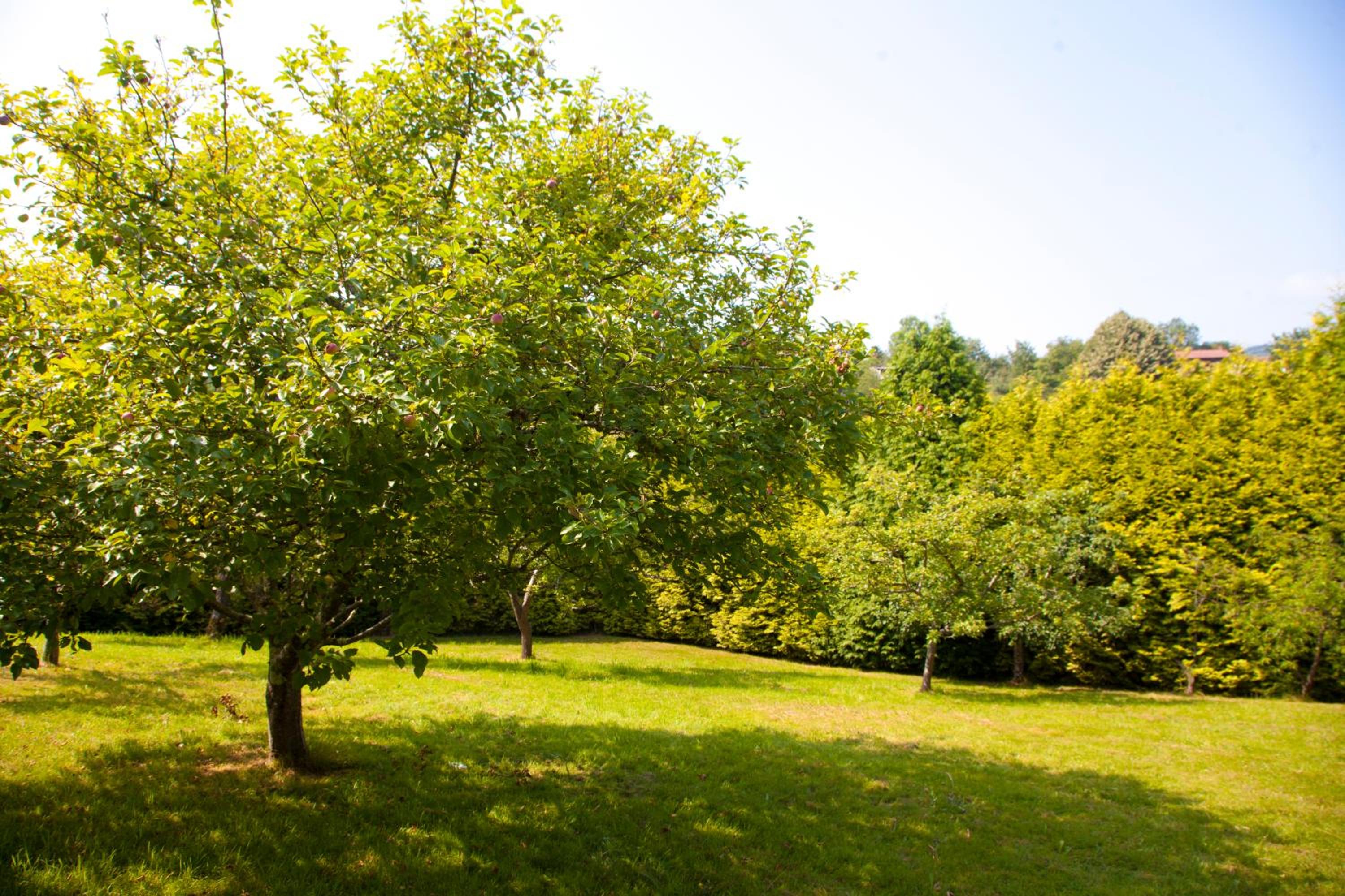 Villa Mercedes