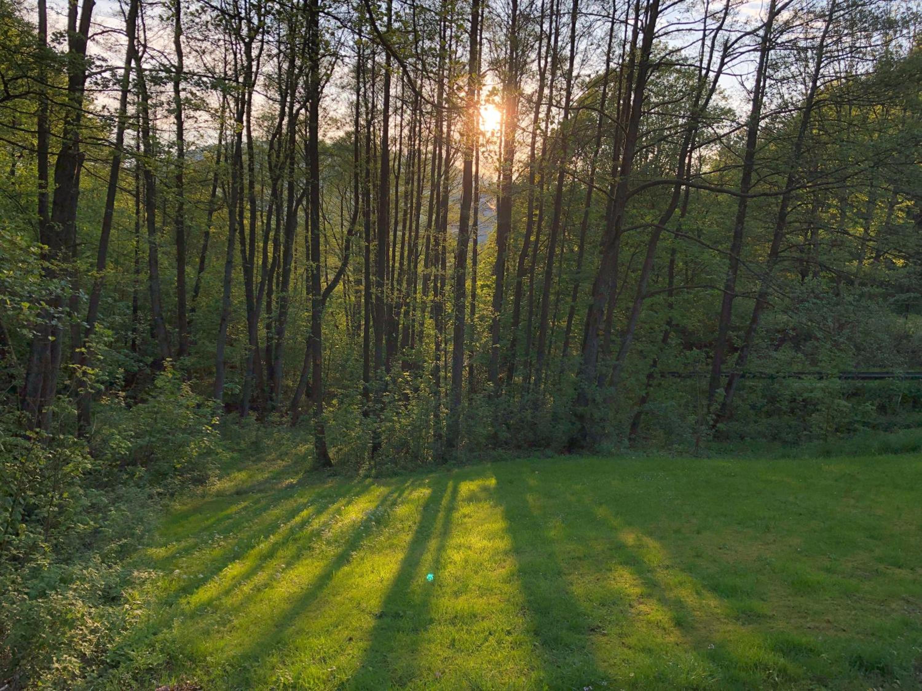 Ferienchalet-Floesswehrtal