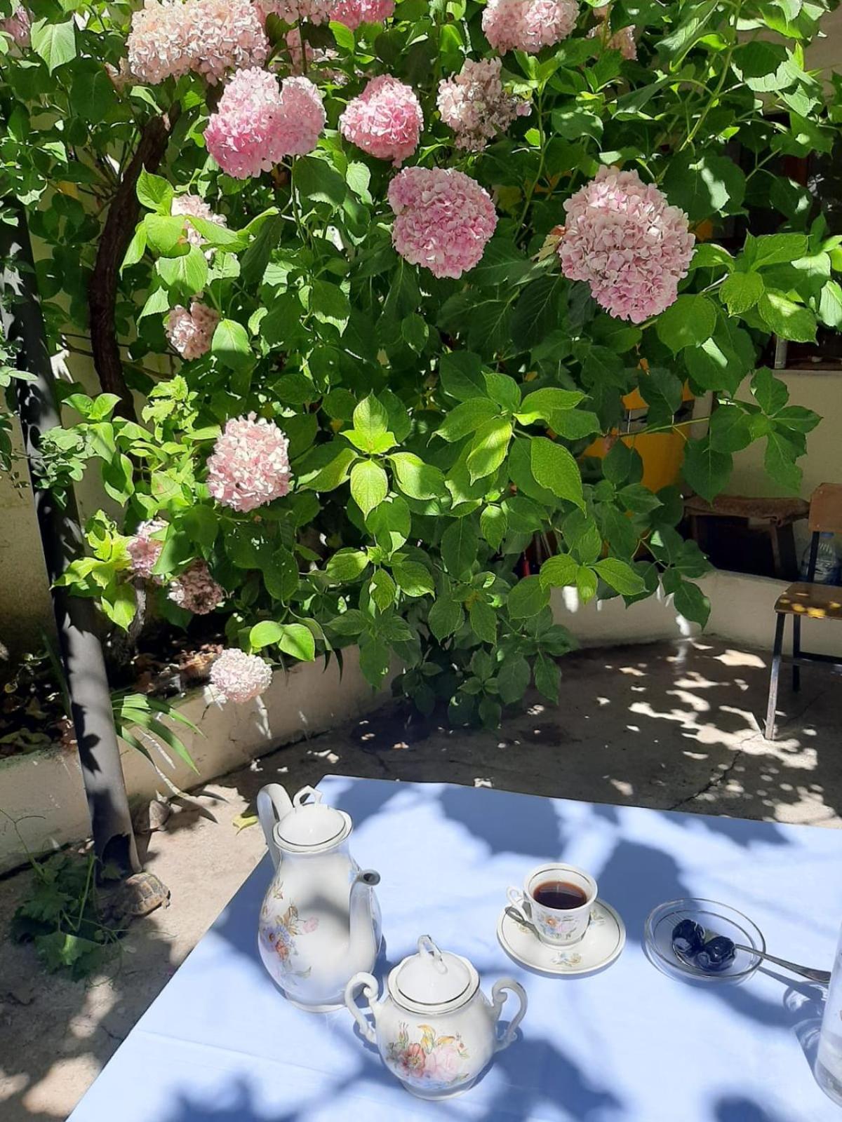 Vrenjo GuestHouse