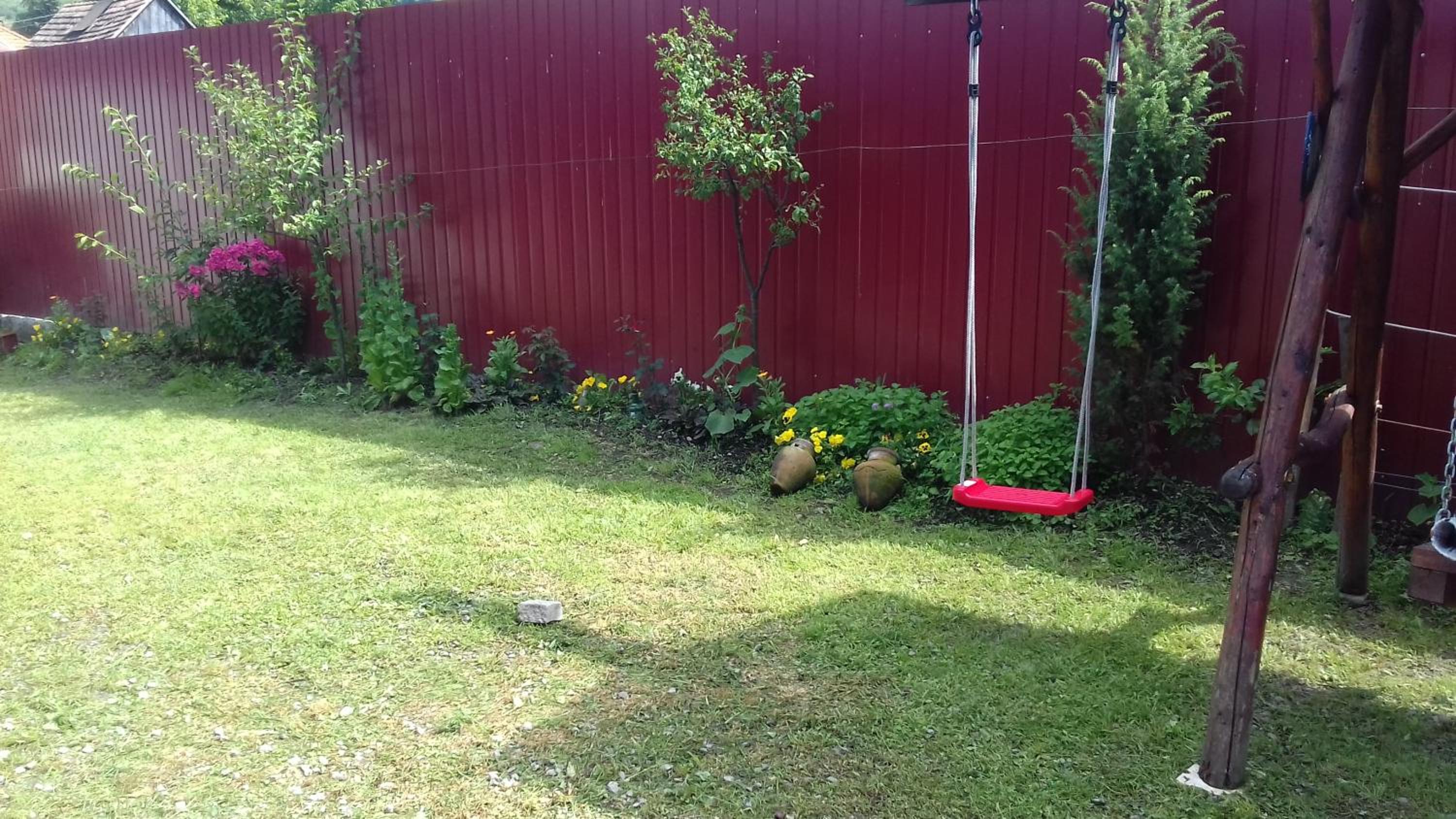 Photo 44