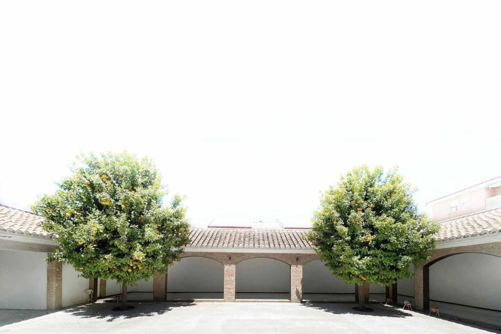 Huerta de la Purísima