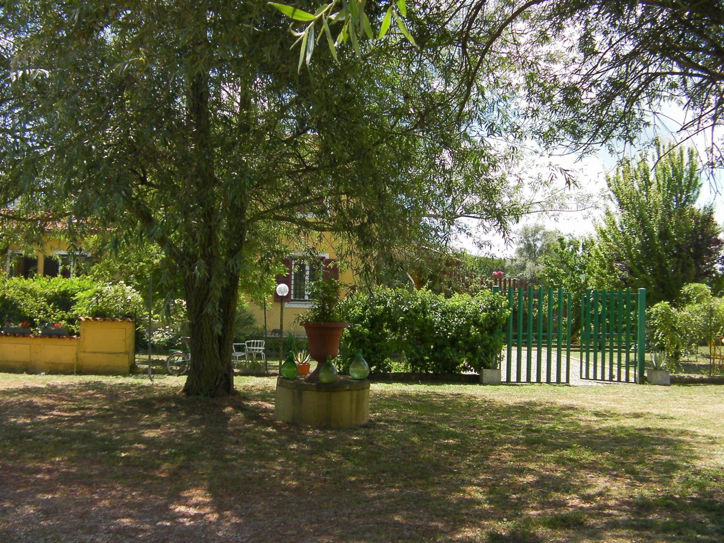 Life B&B photo 5