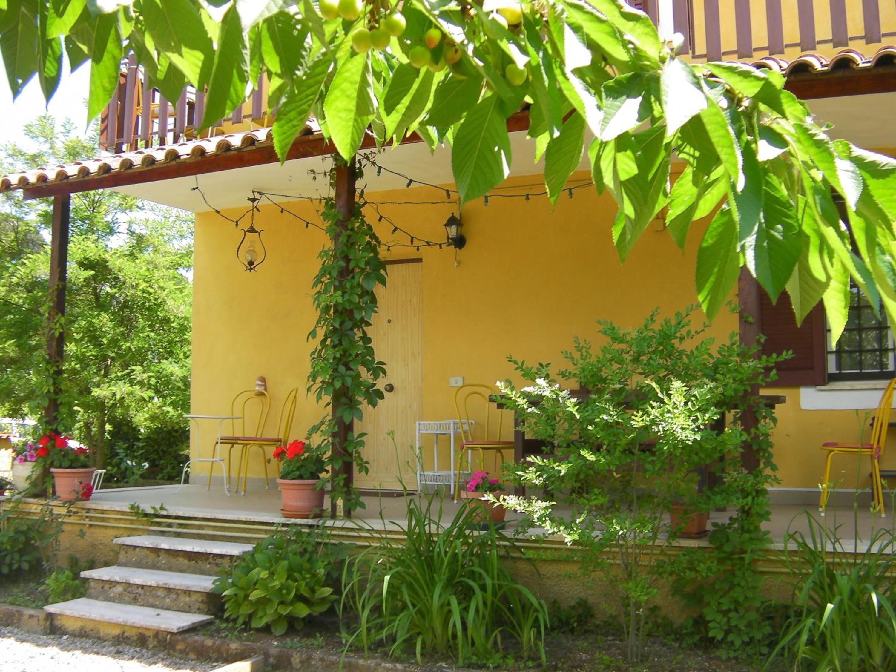 Photo 7