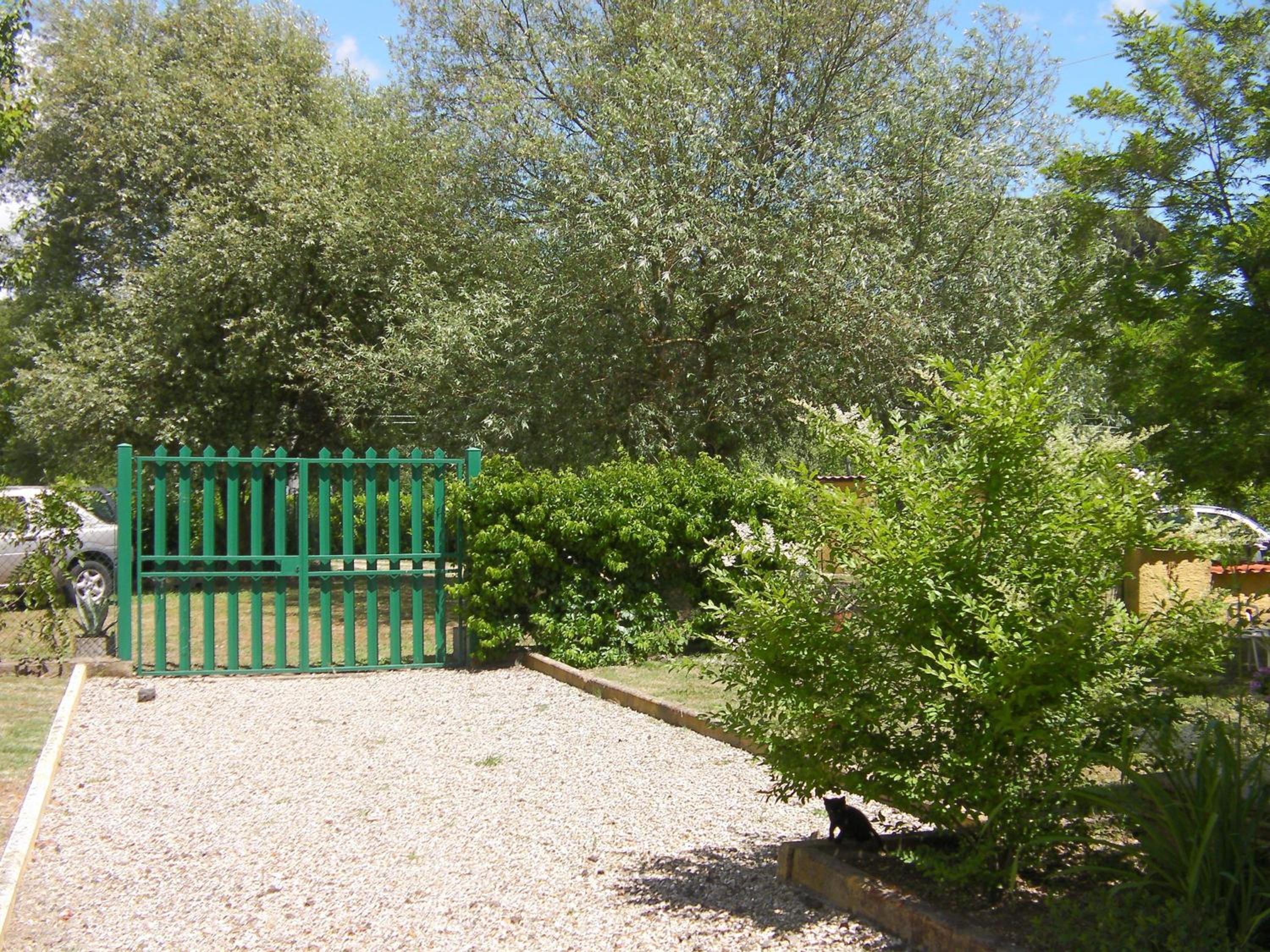 Photo 11