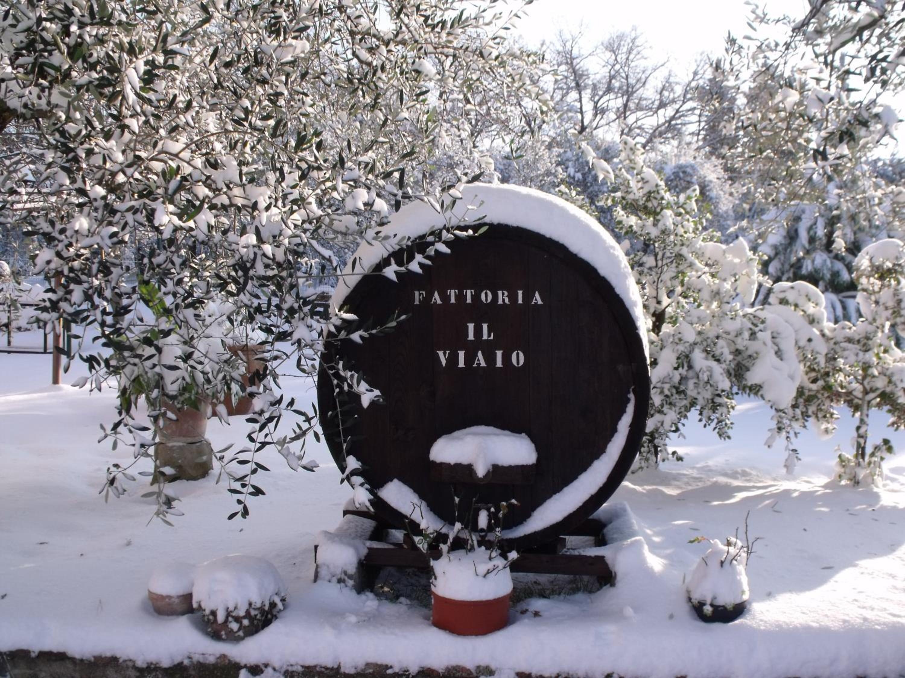 Agriturismo IL VIAIO