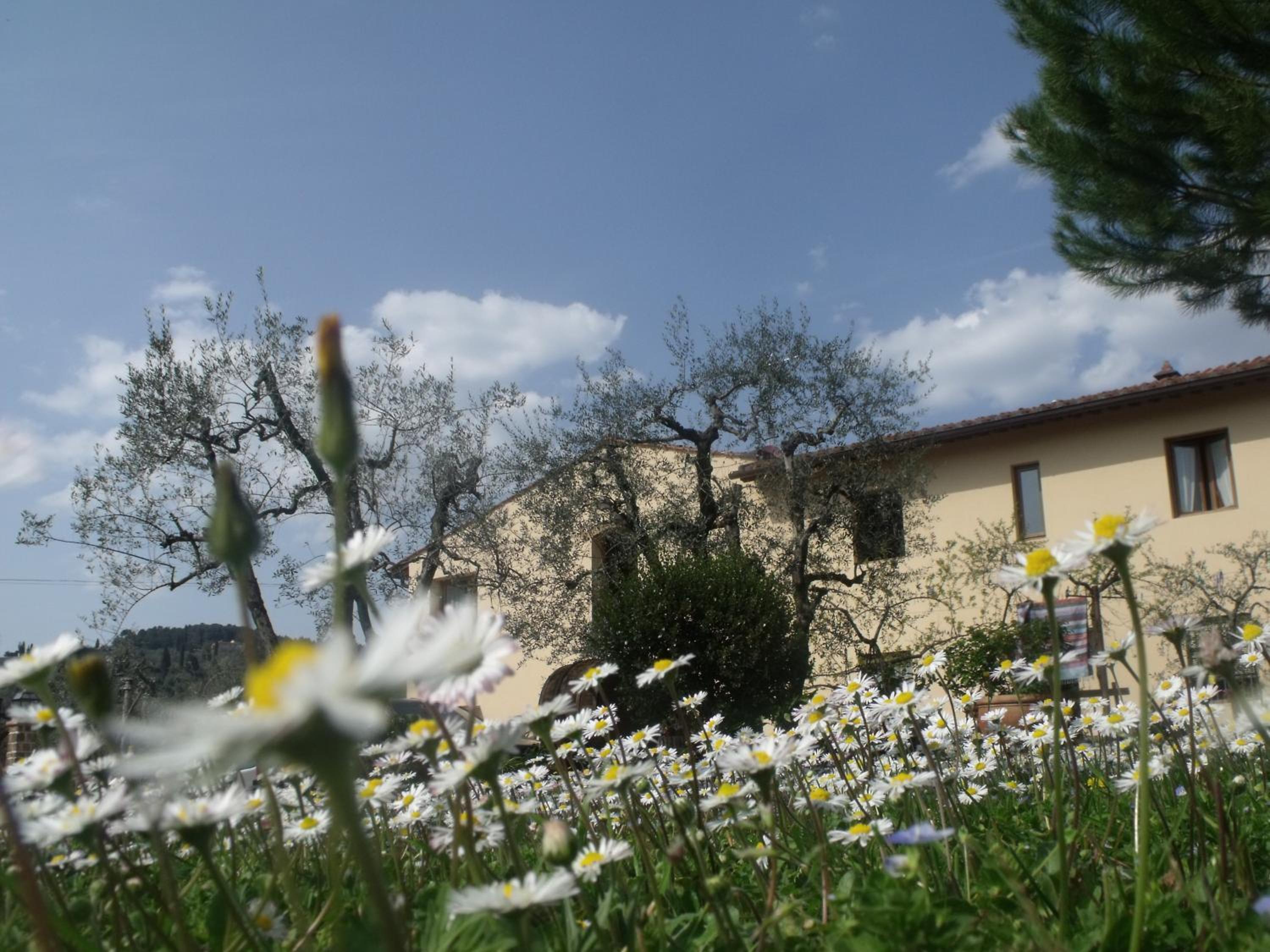 Agriturismo IL VIAIO