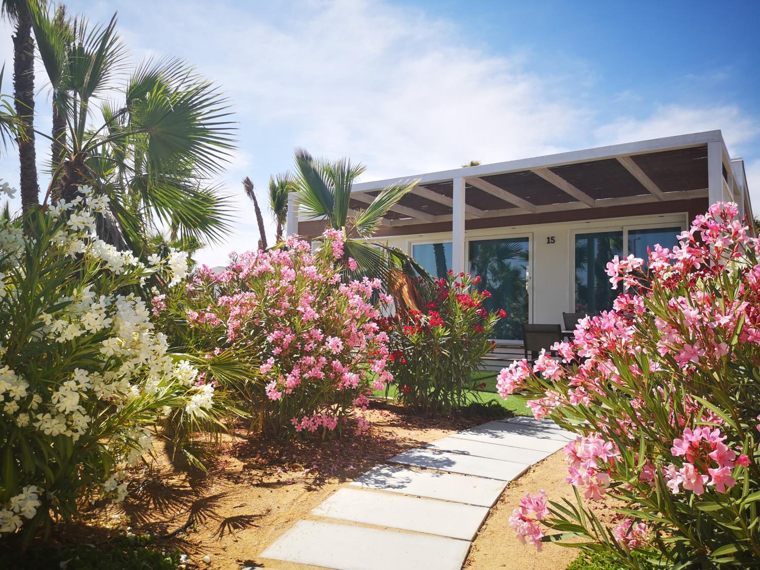 Alannia Costa Blanca
