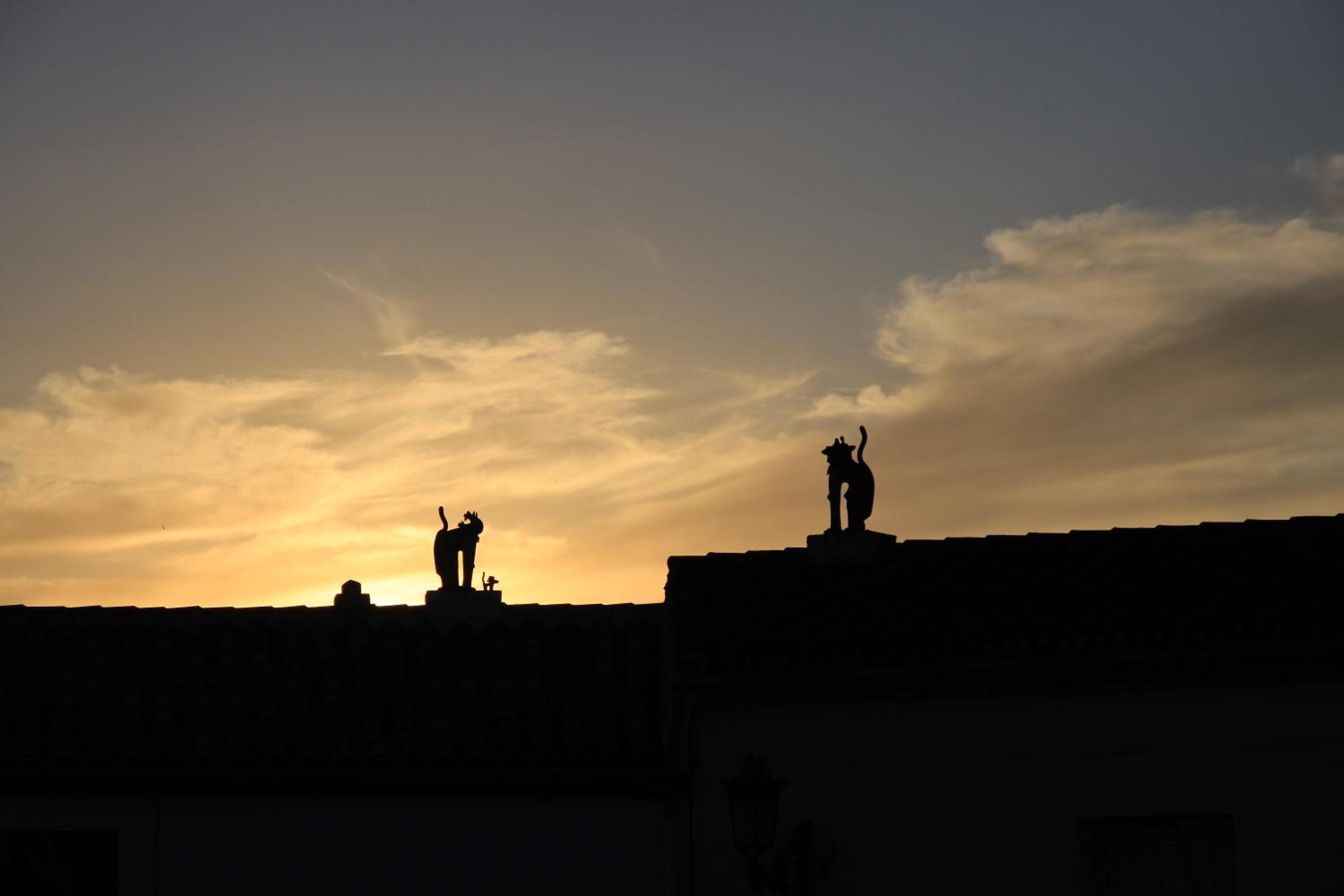 Casas Rurales Jardines del Visir