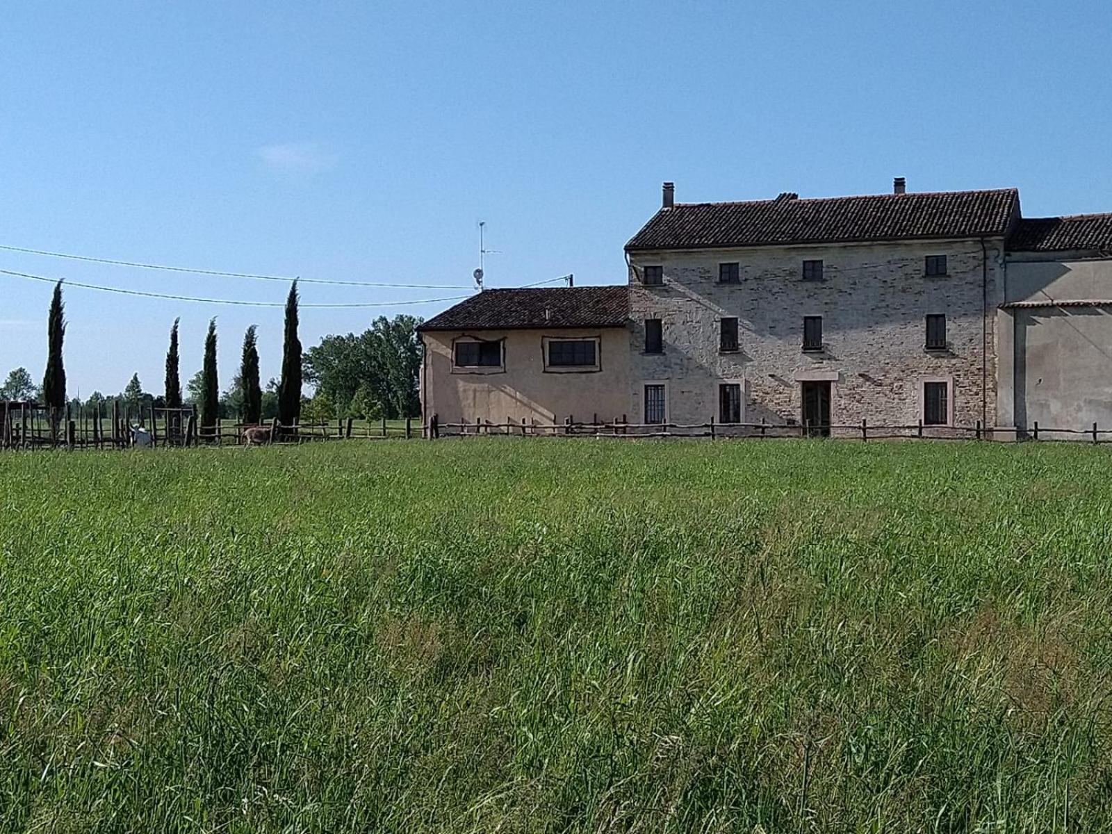 B&B San P 1 Castel Goffredo view 4
