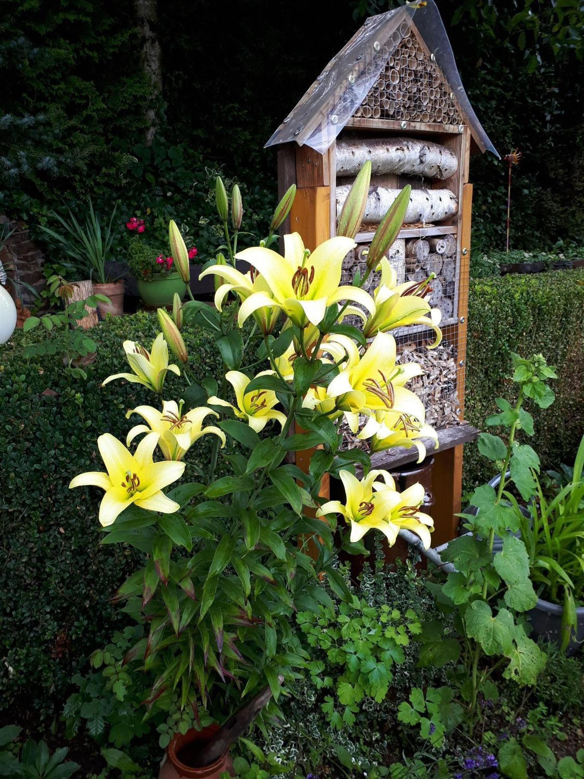 Photo 29