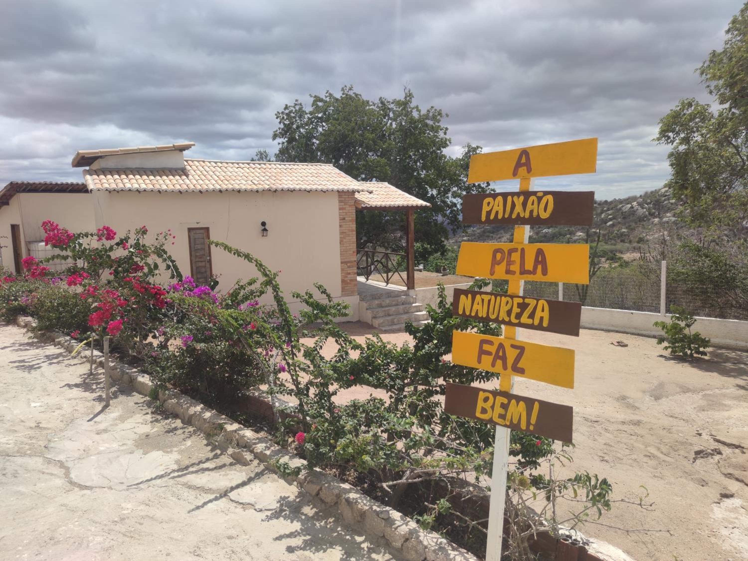 Encanto dos Pássaros
