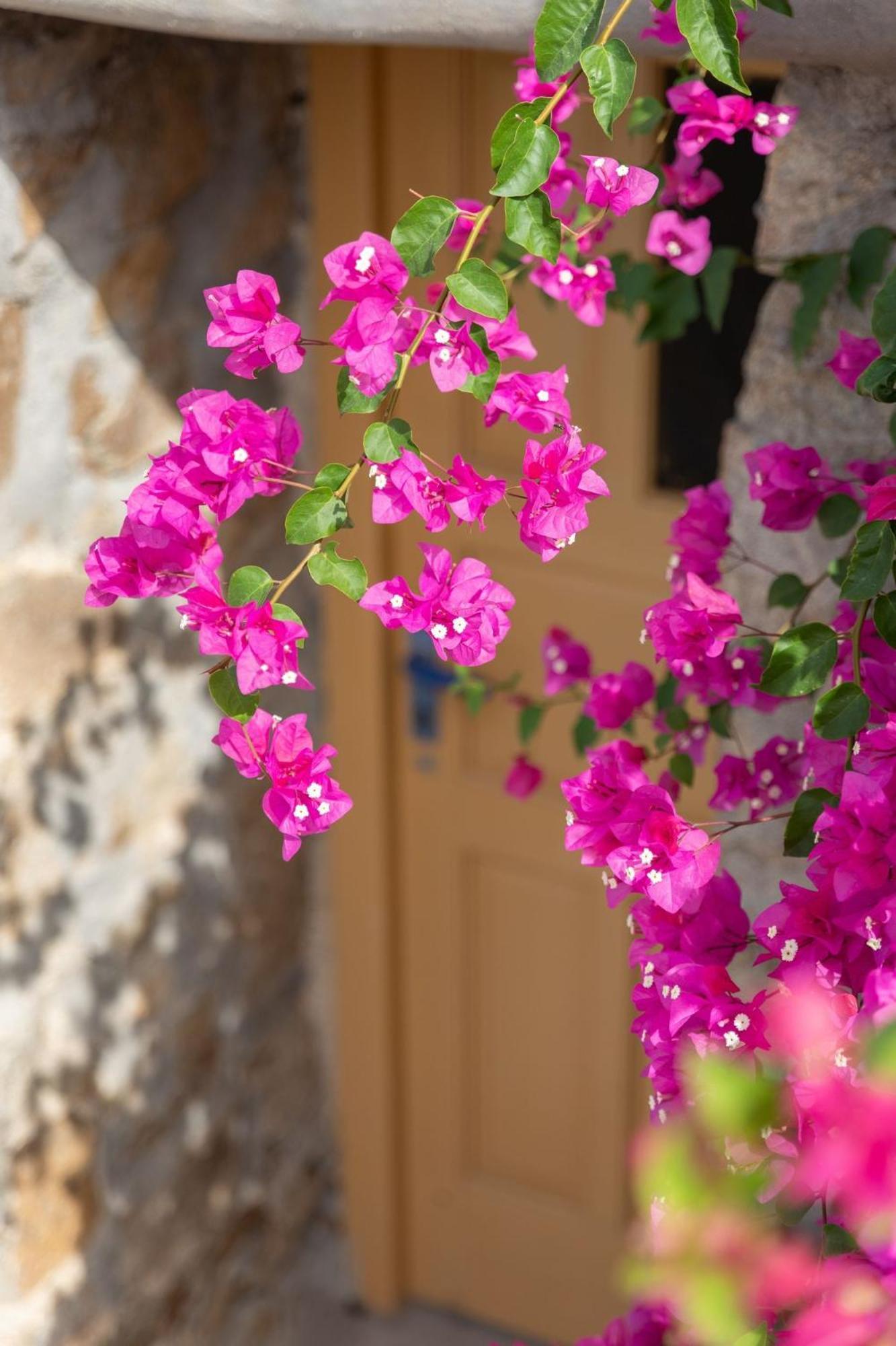 Anerousses Mykonian Traditional Houses