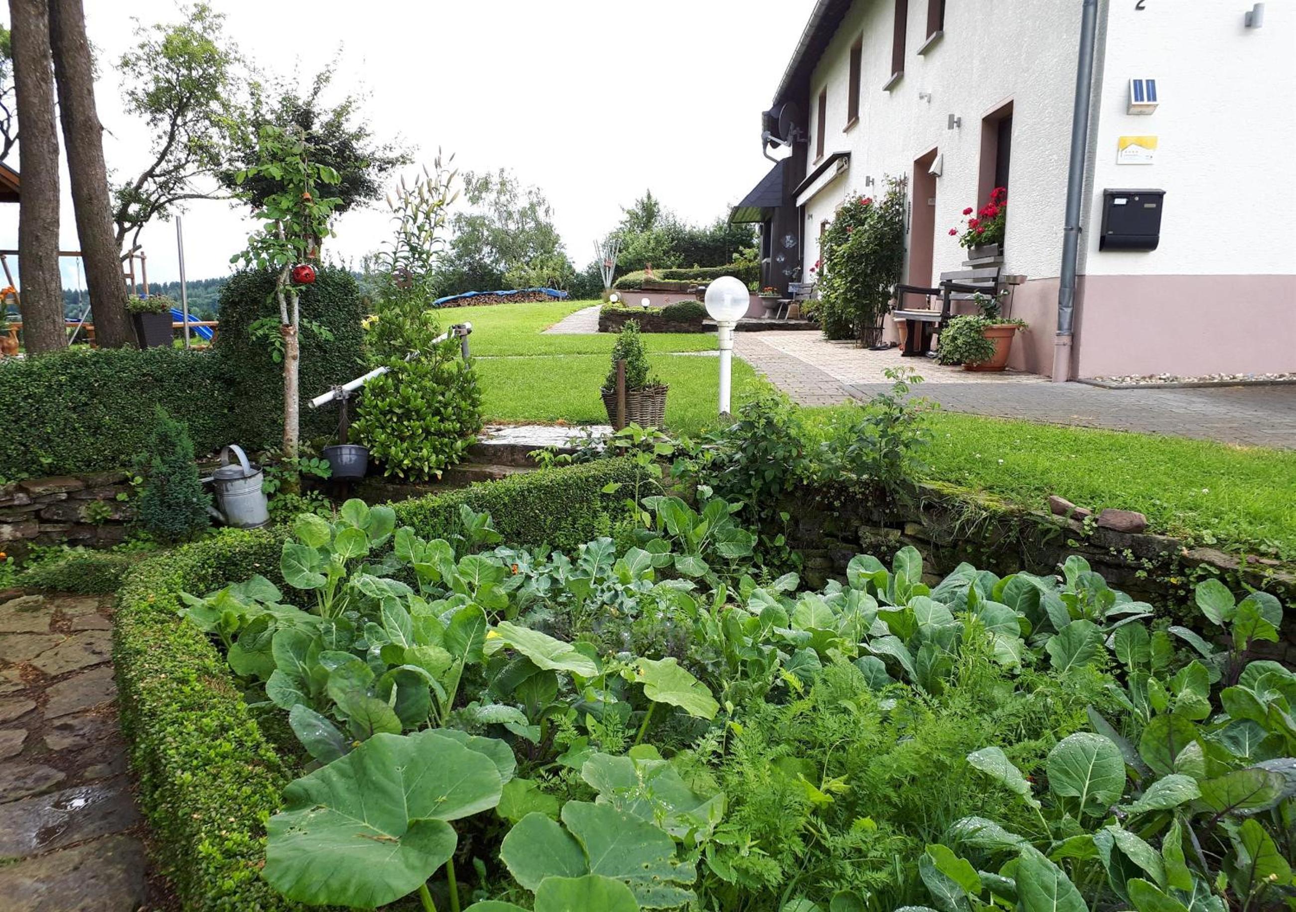 Photo 19