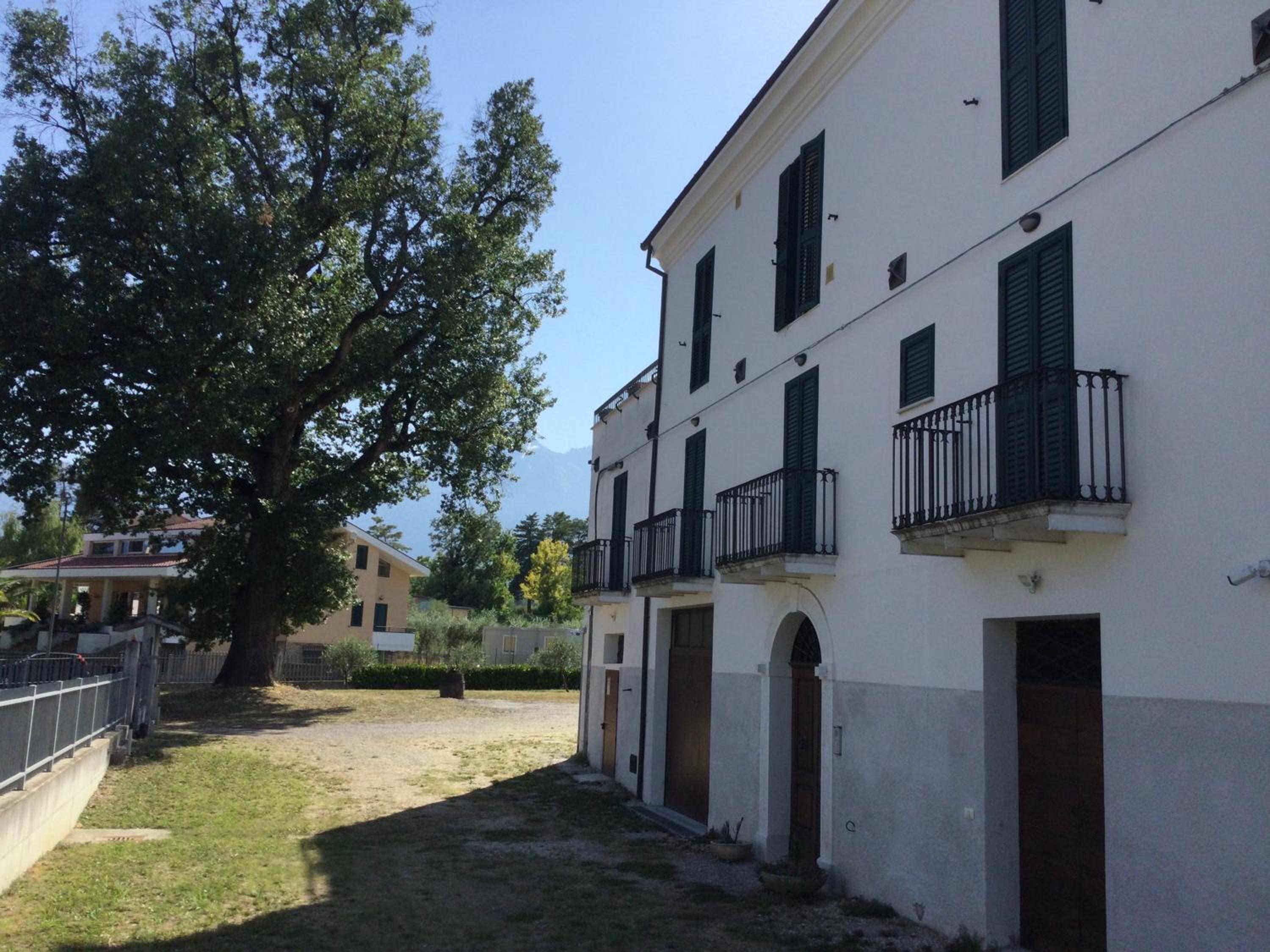 Photo 28