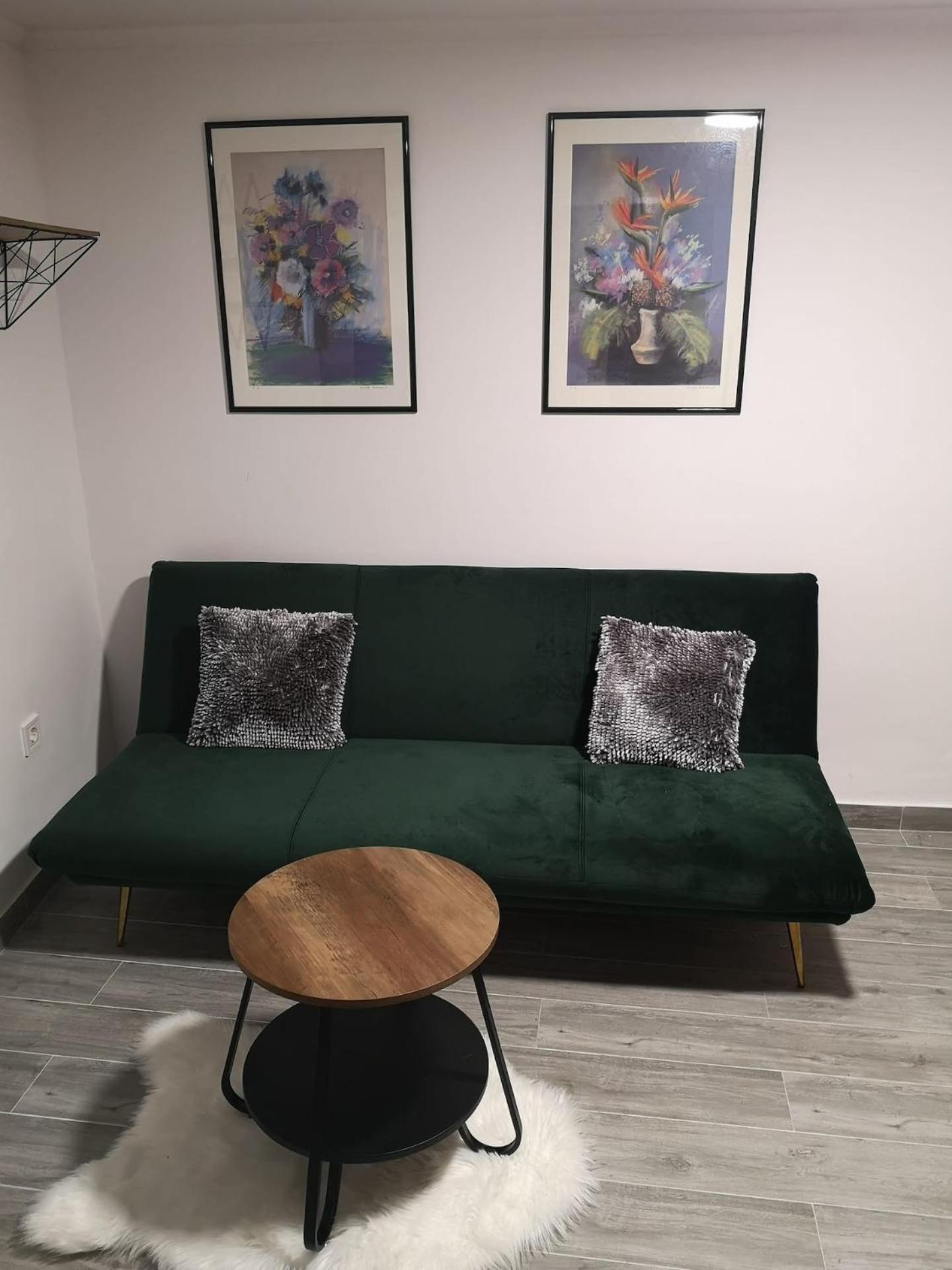 Apartment Ivka