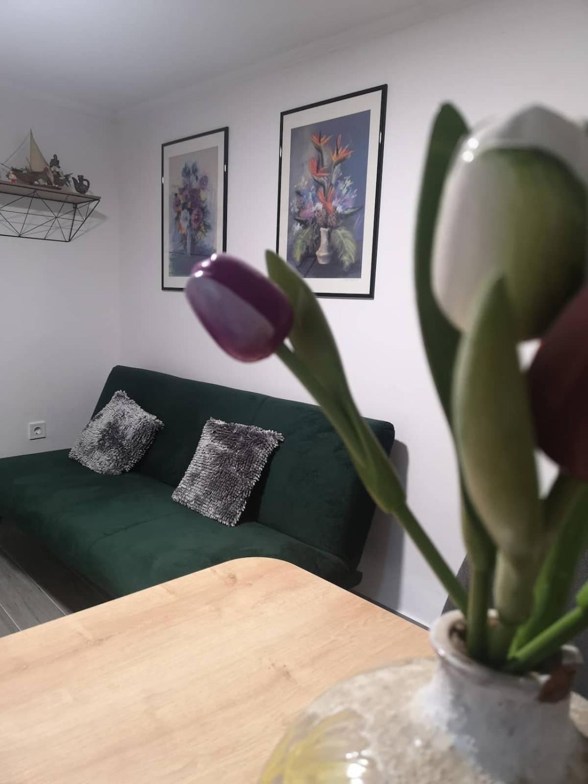 Apartment Ivka