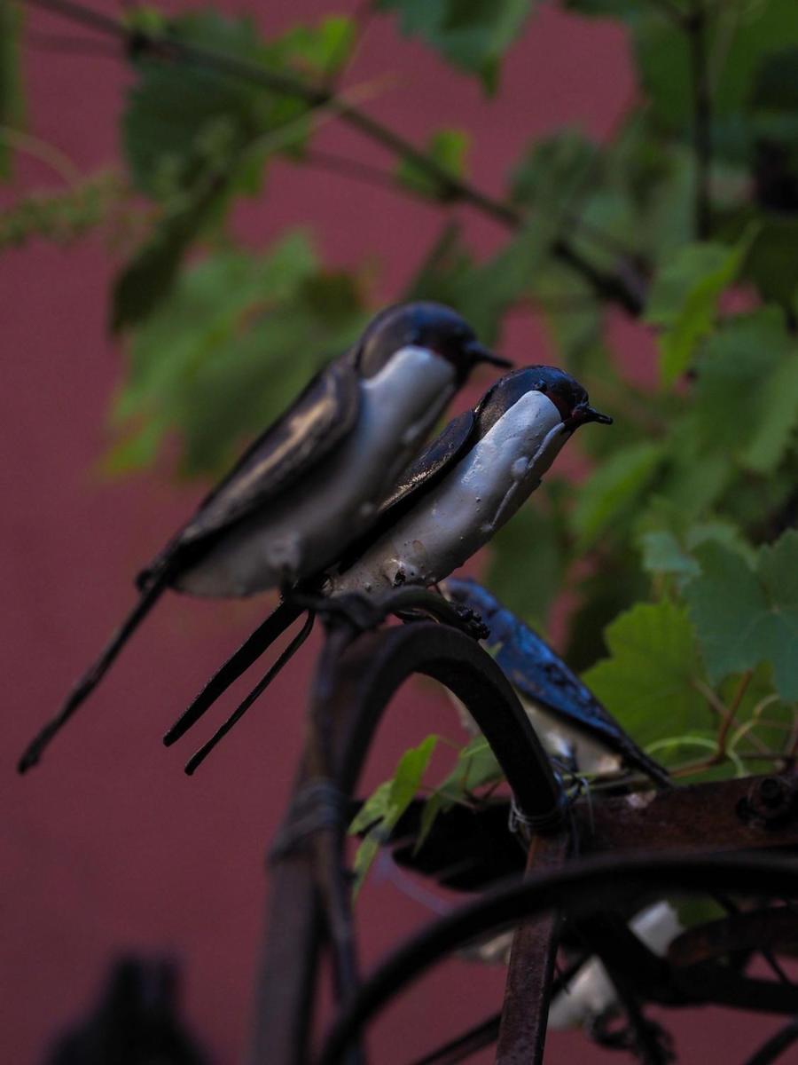 Photo 40