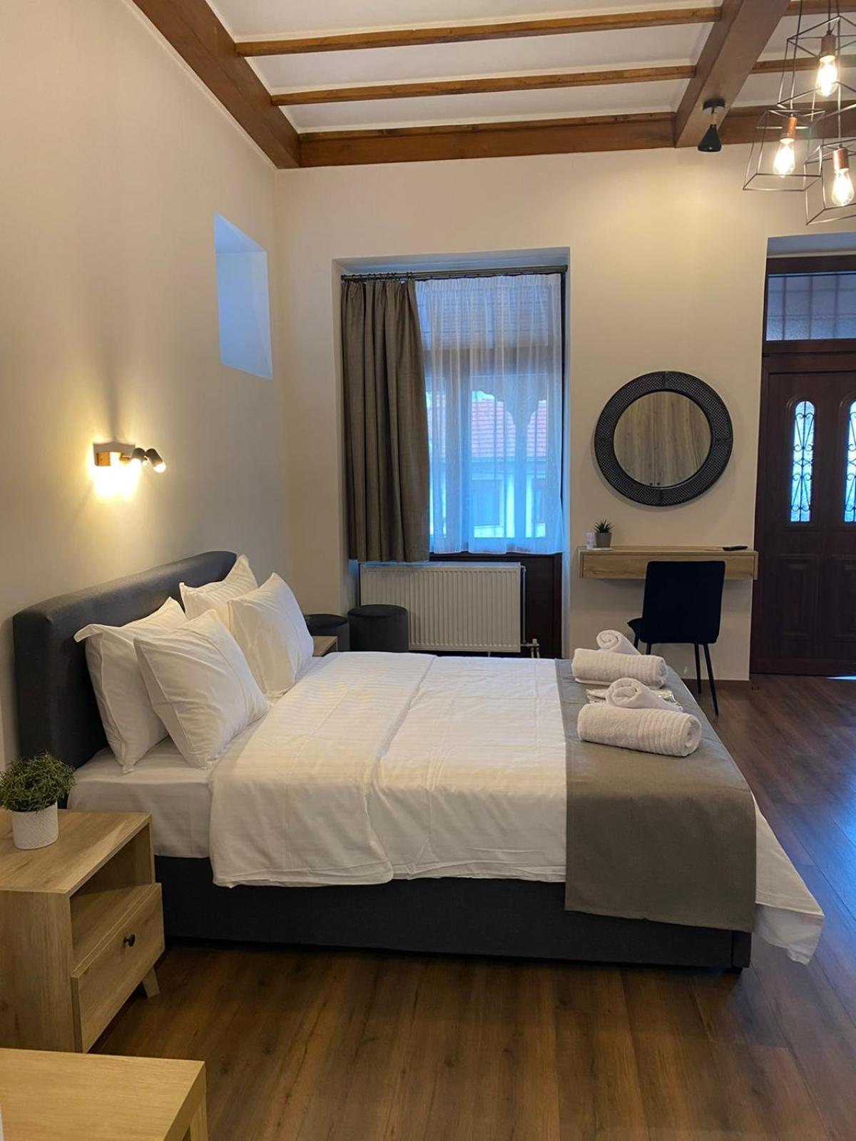 11 Luxury Apartments Metsovo view 4