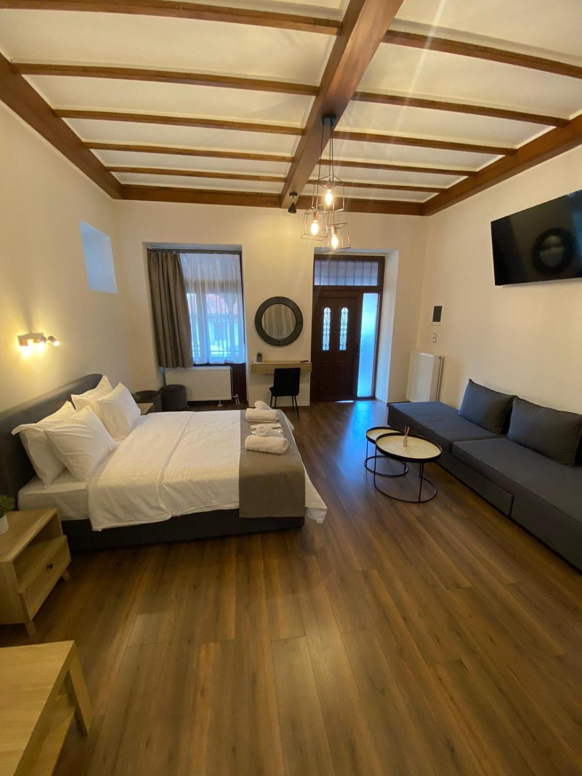 11 Luxury Apartments Metsovo view 5