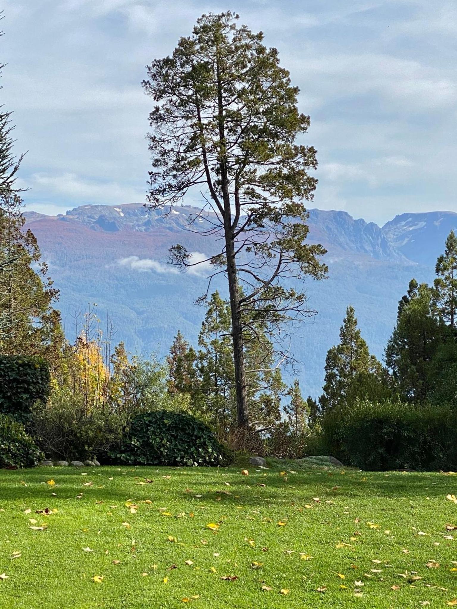Altos del Sur Cabañas de Montaña