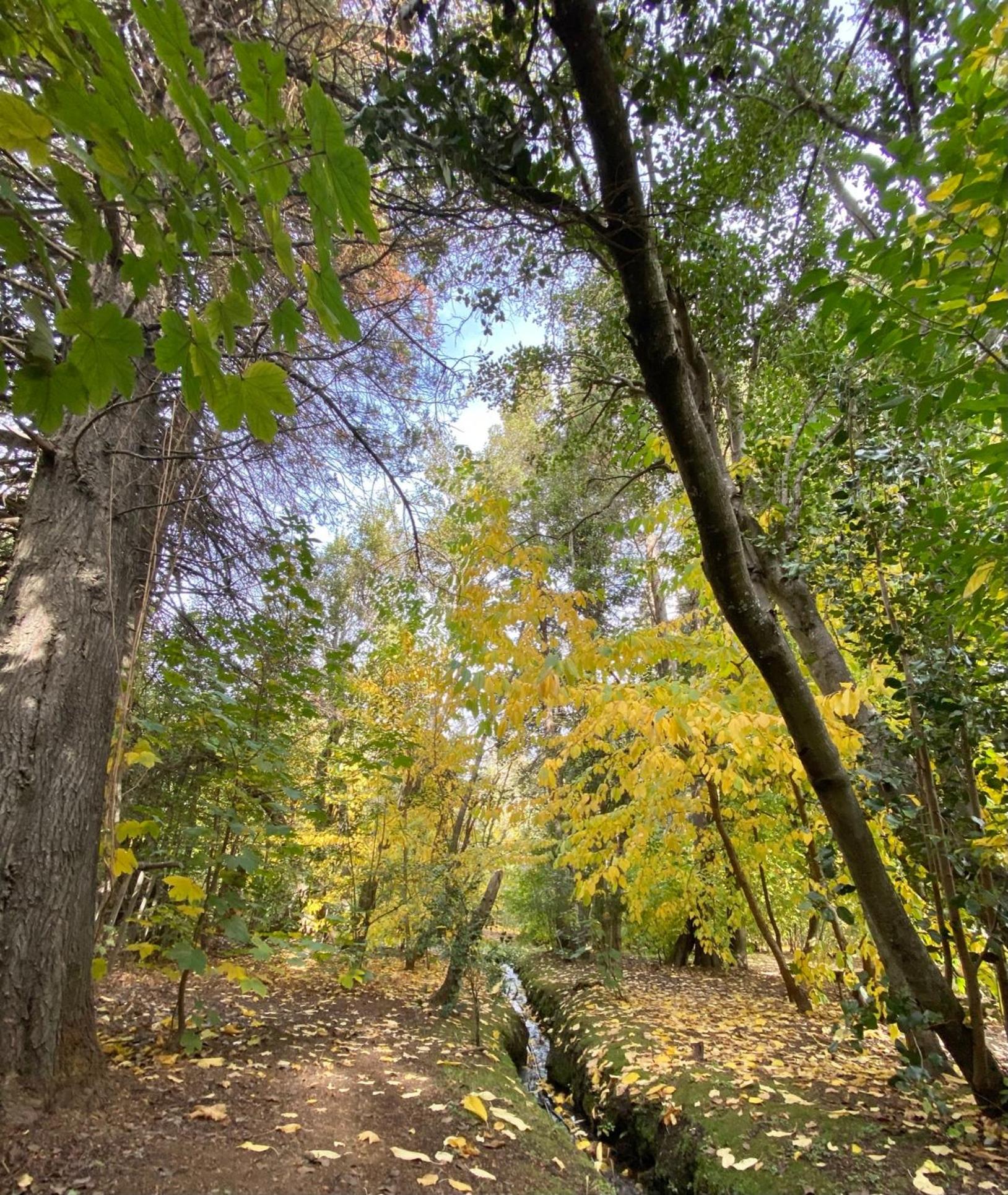 Altos del Sur Cabañas de Montaña