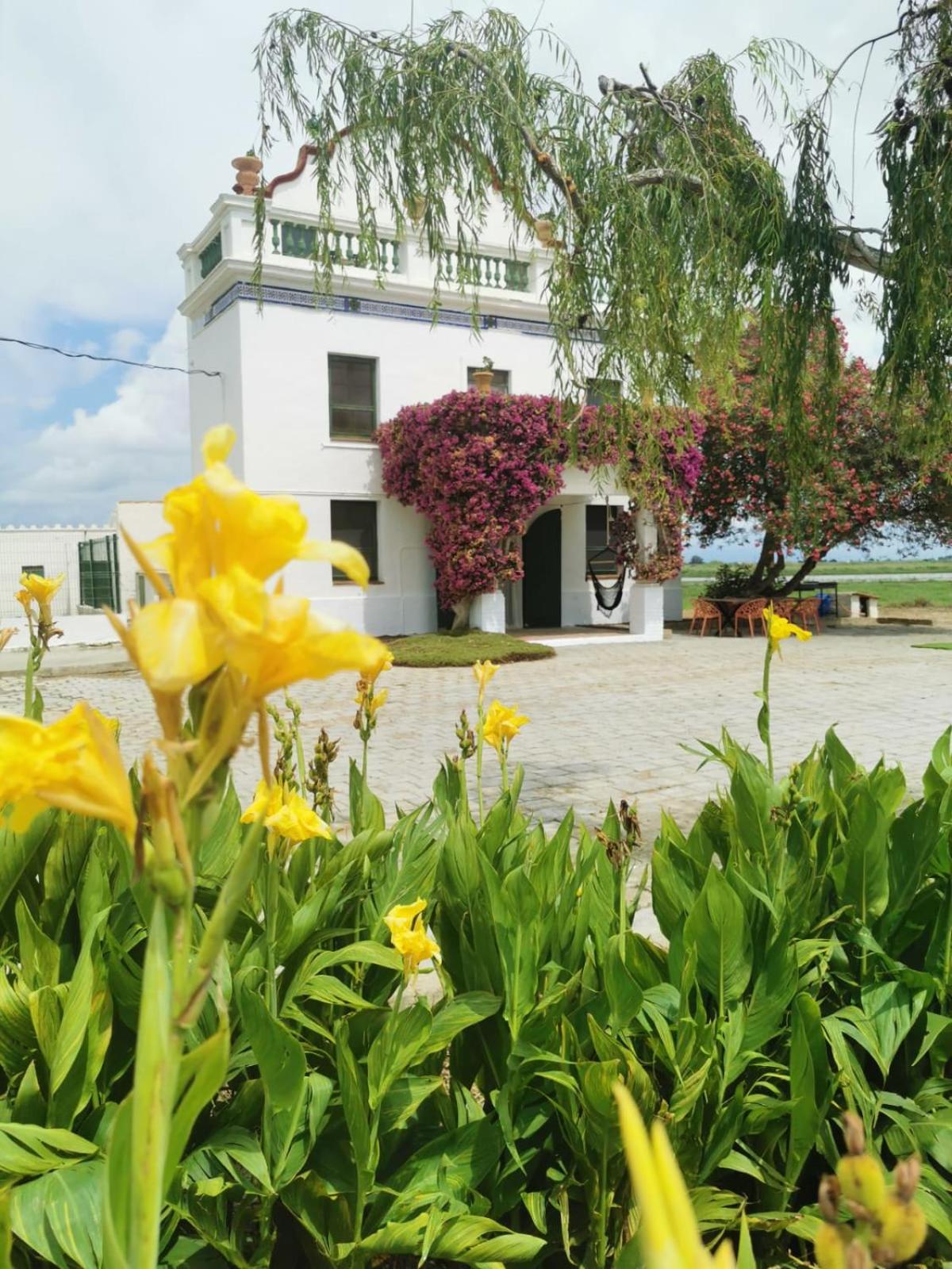 VILLA ELS FLAMENCS