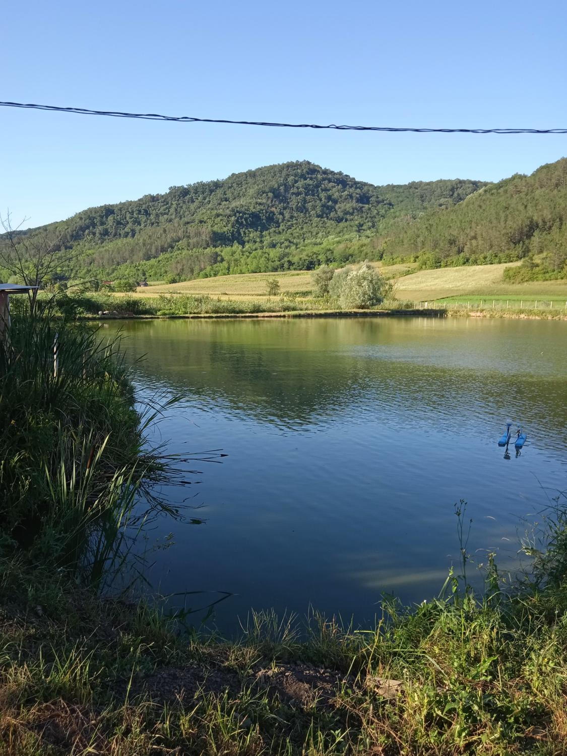 Photo 44