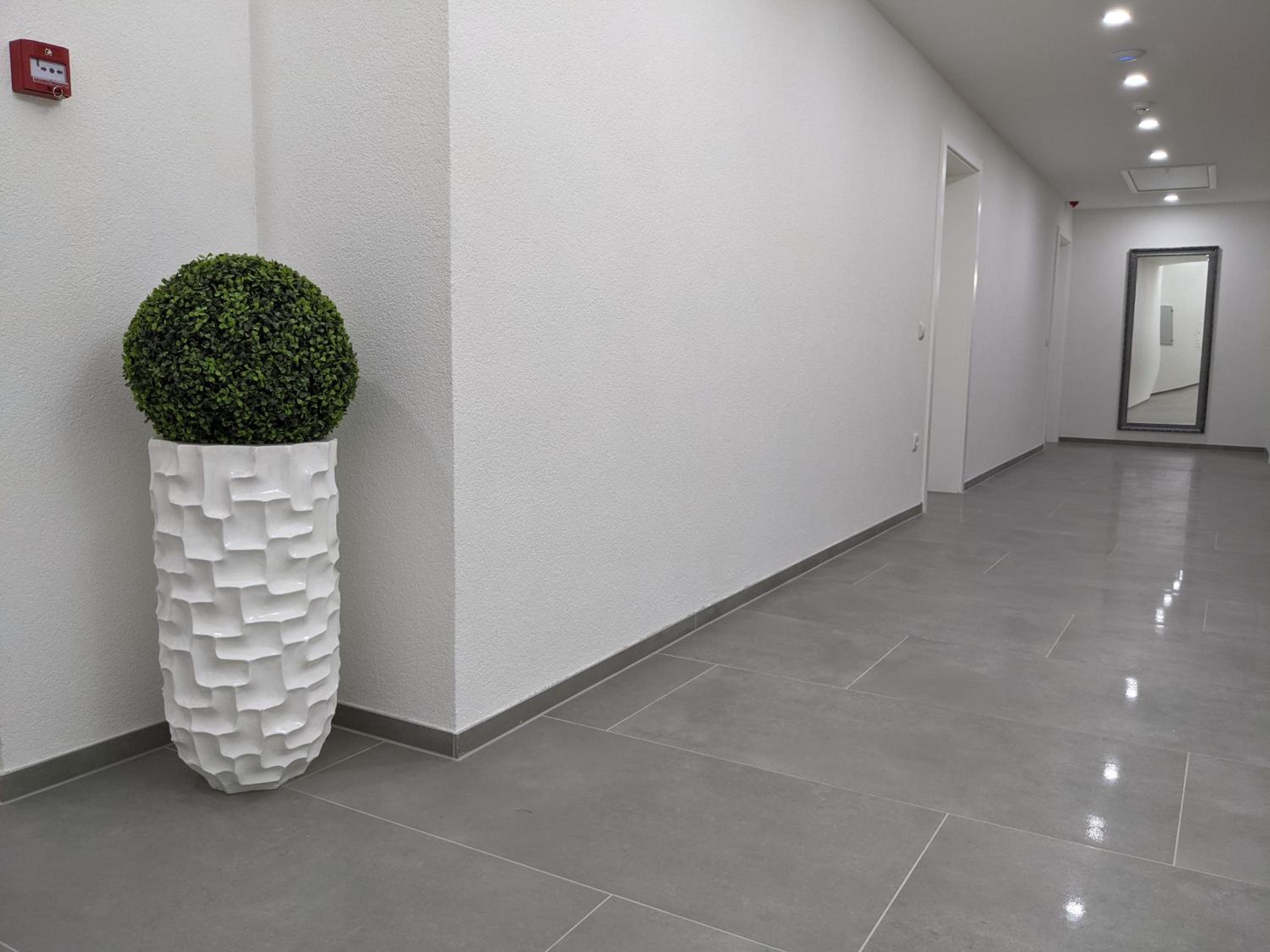 Evita Apartmani Šibovska