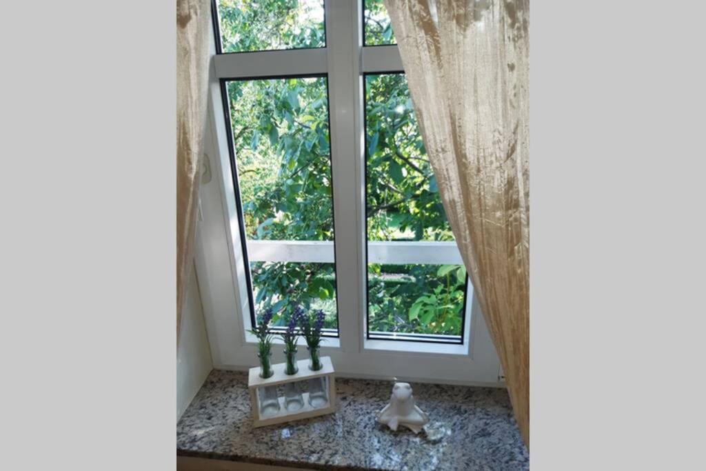 Ferienwohnung Landhaus Auf dem Hollo view 3