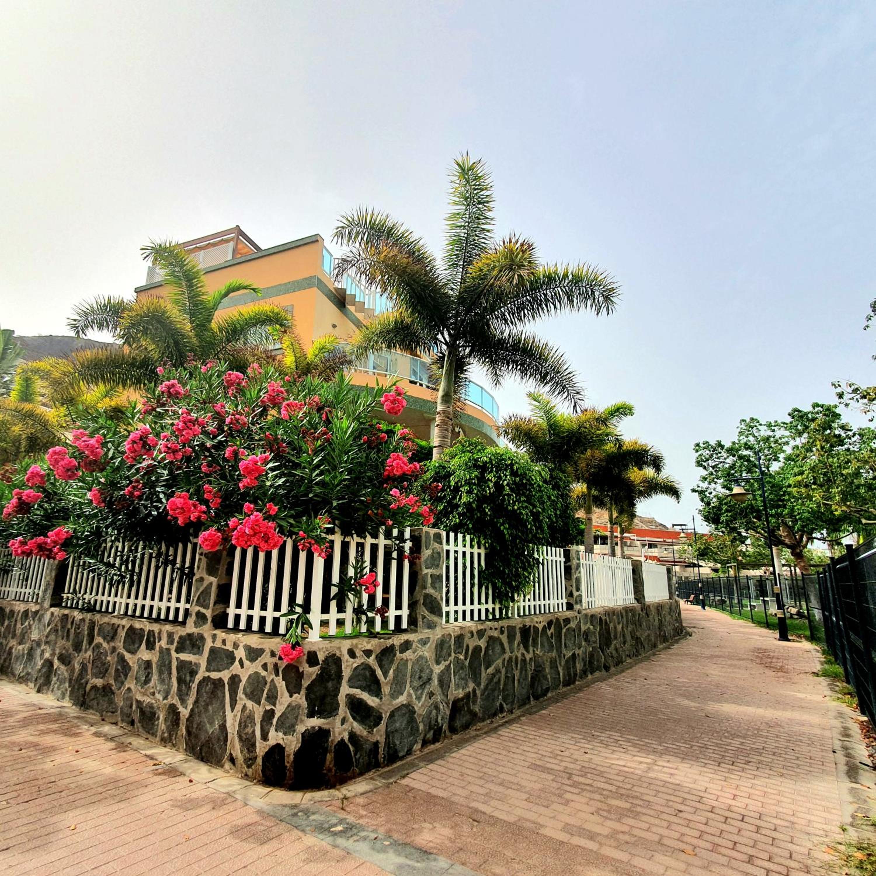 GOLDEN BEACH MOGAN