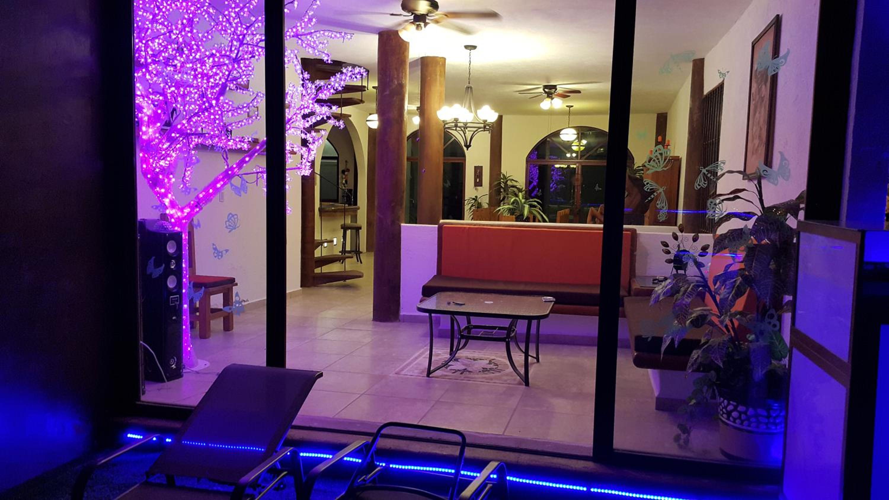 Photo 21