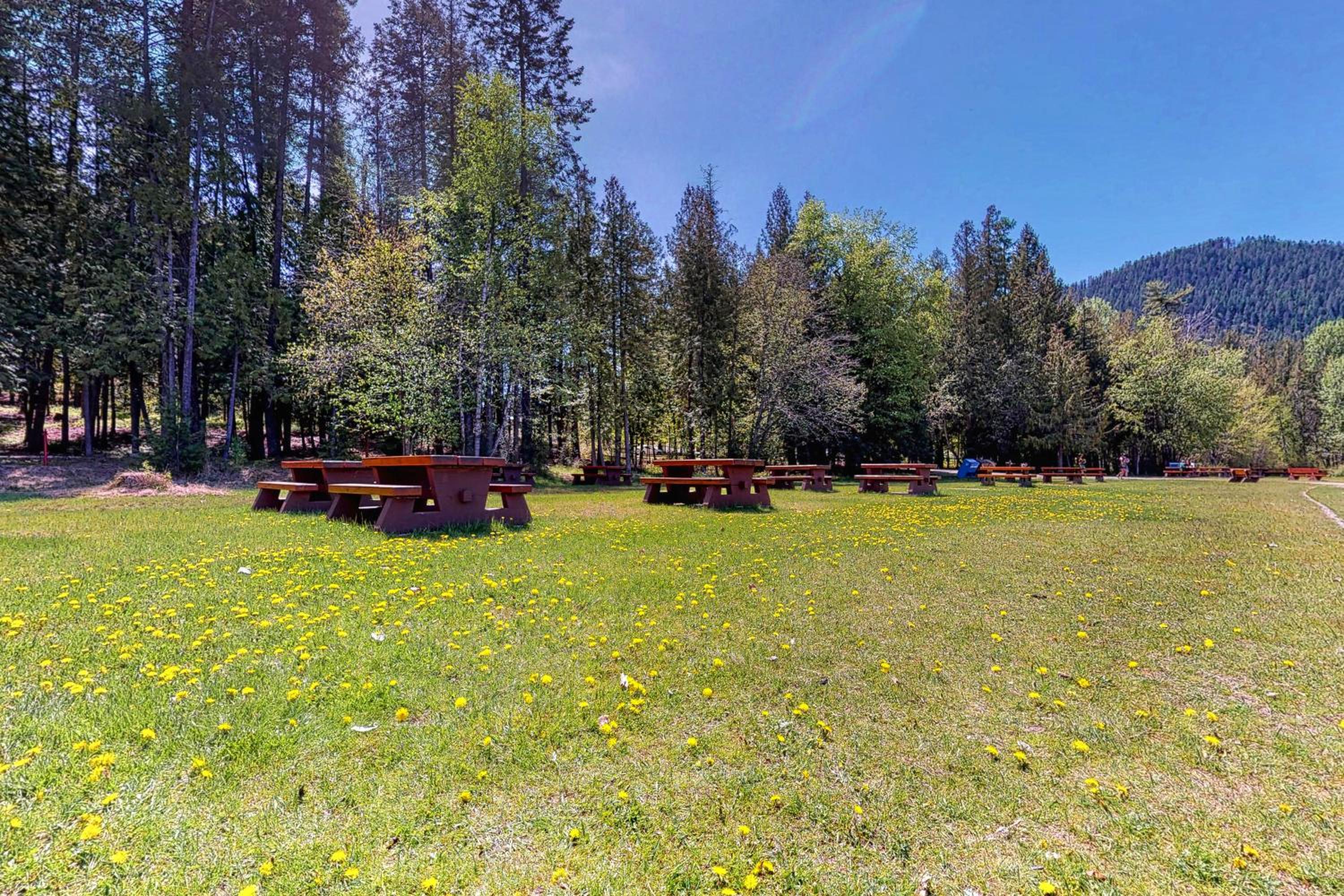 Christina Lake Escape
