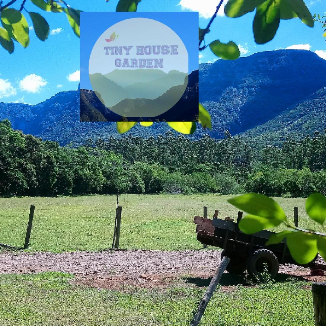Tinyhousegarden - Silver Coin